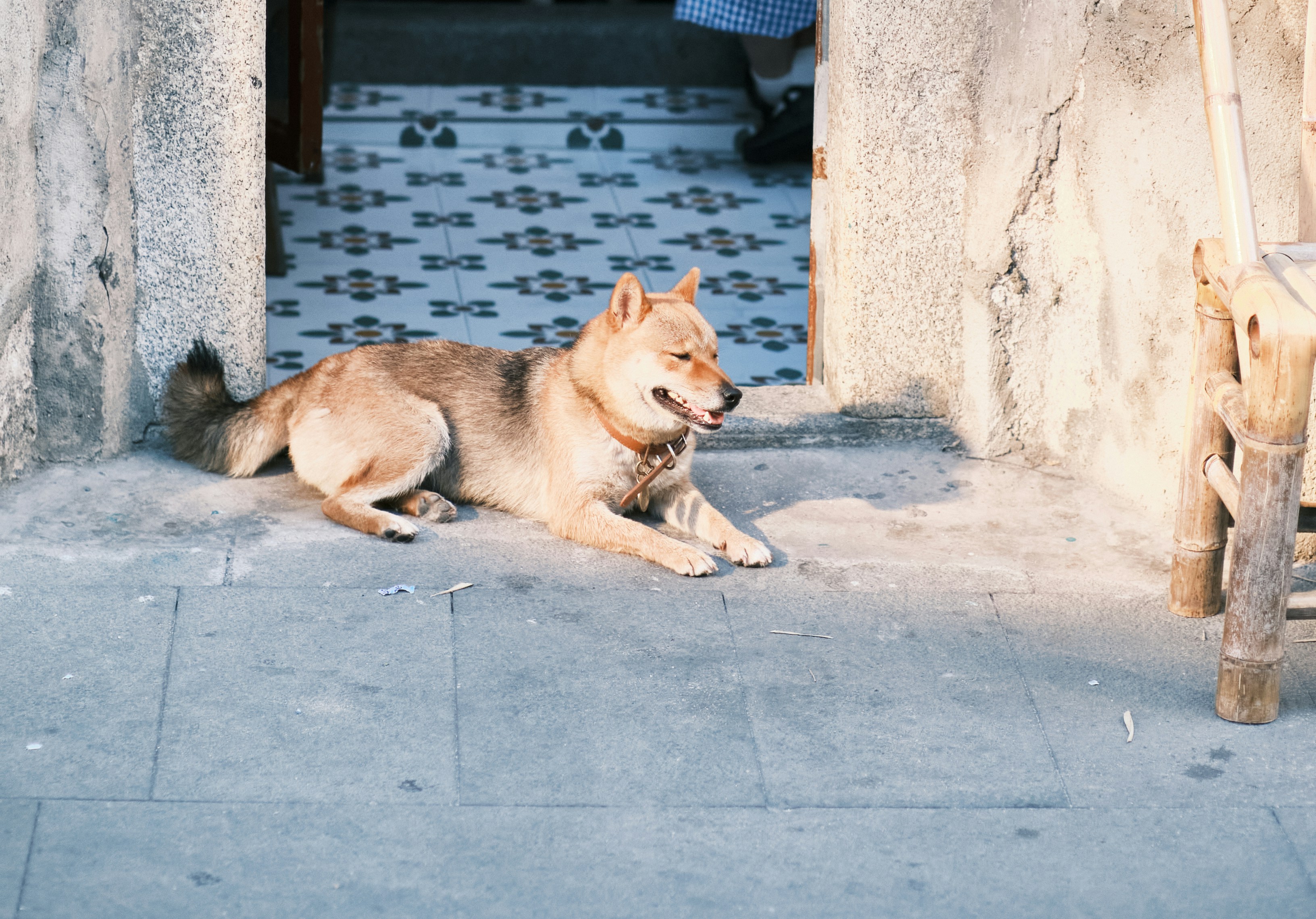 Emotional Needs Behind Affection