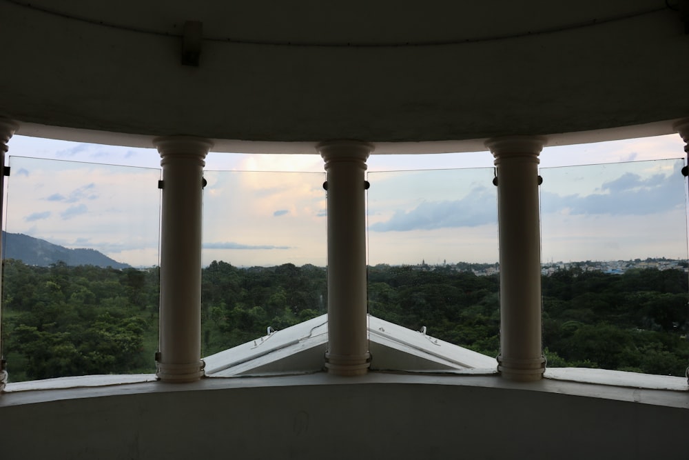 a view of the forest from a window