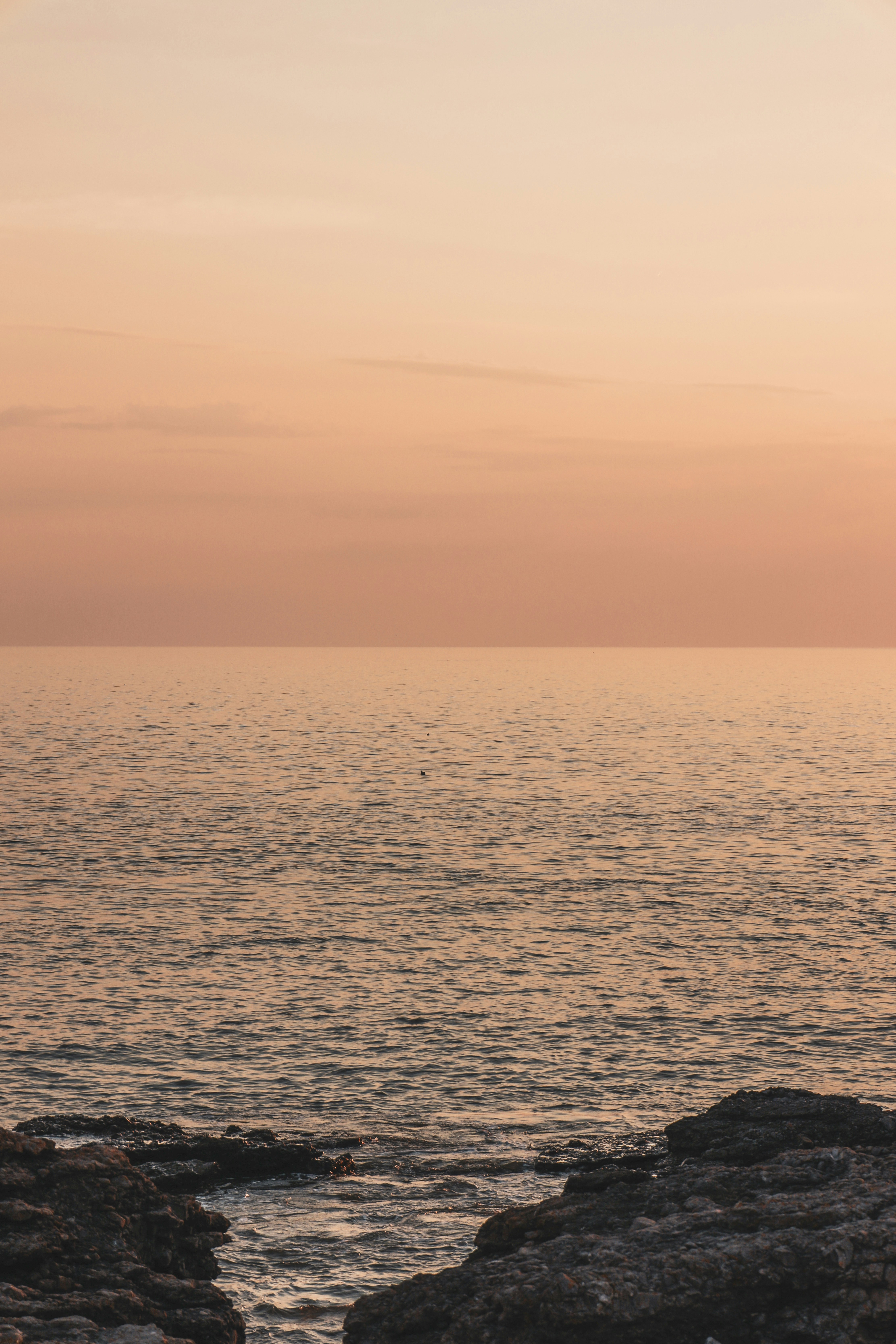 Photo by secondsight