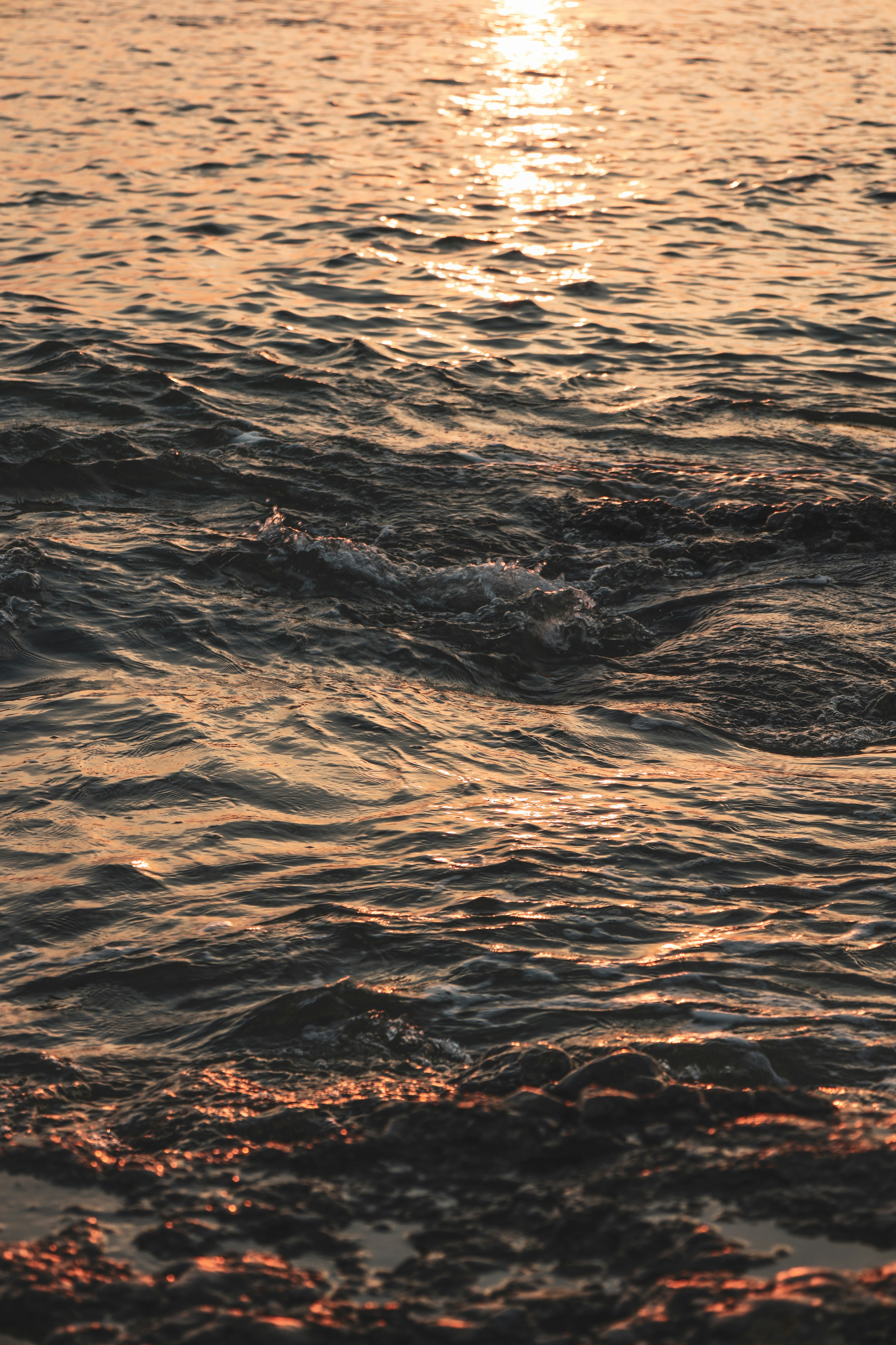 Photo by secondsight