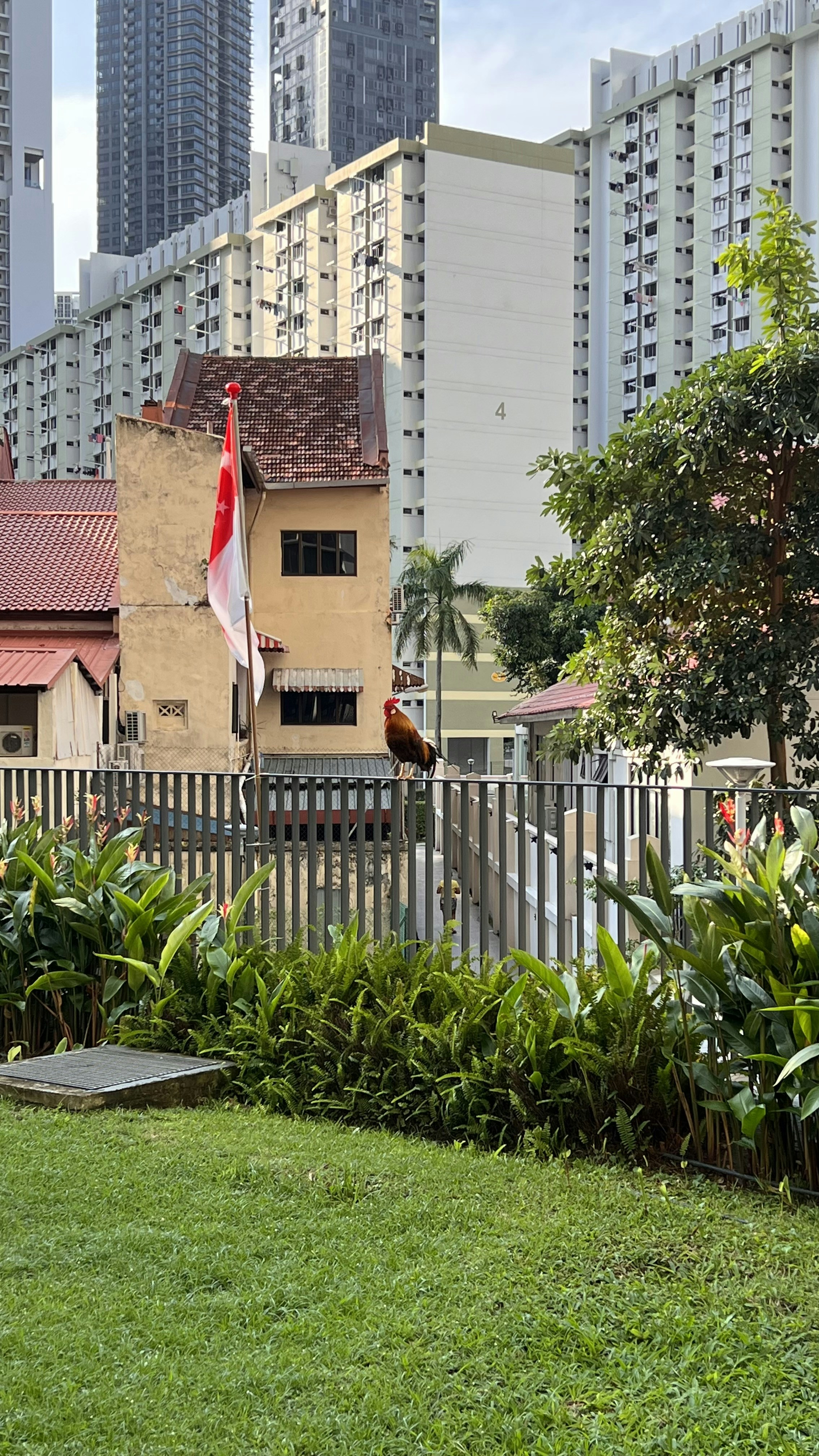 Singapore vs Romania Cost of Living Comparison Trends 2023