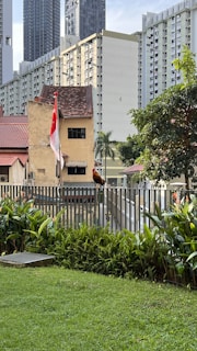 A vibrant urban scene featuring a rooster perched on a fence in the foreground. The background includes a mix of older houses with sloped red roofs and modern high-rise apartment buildings. A small garden with lush green plants and a patch of well-maintained grass is visible, along with a Singapore flag waving next to the older building. The overall composition creates a contrast between nature and urban development.