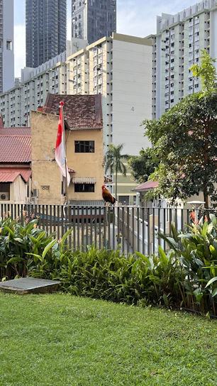 A lively collage of different pets including dogs, cats, and birds with vibrant orange, red, and black backgrounds reflecting Singapore’s energetic vibe.