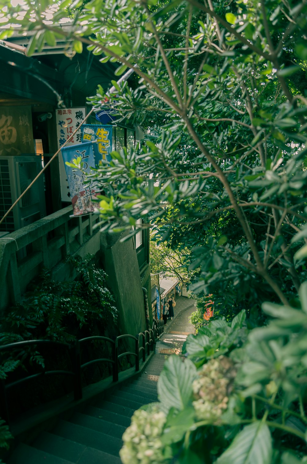 a garden with a fence and plants