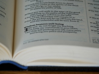 text
