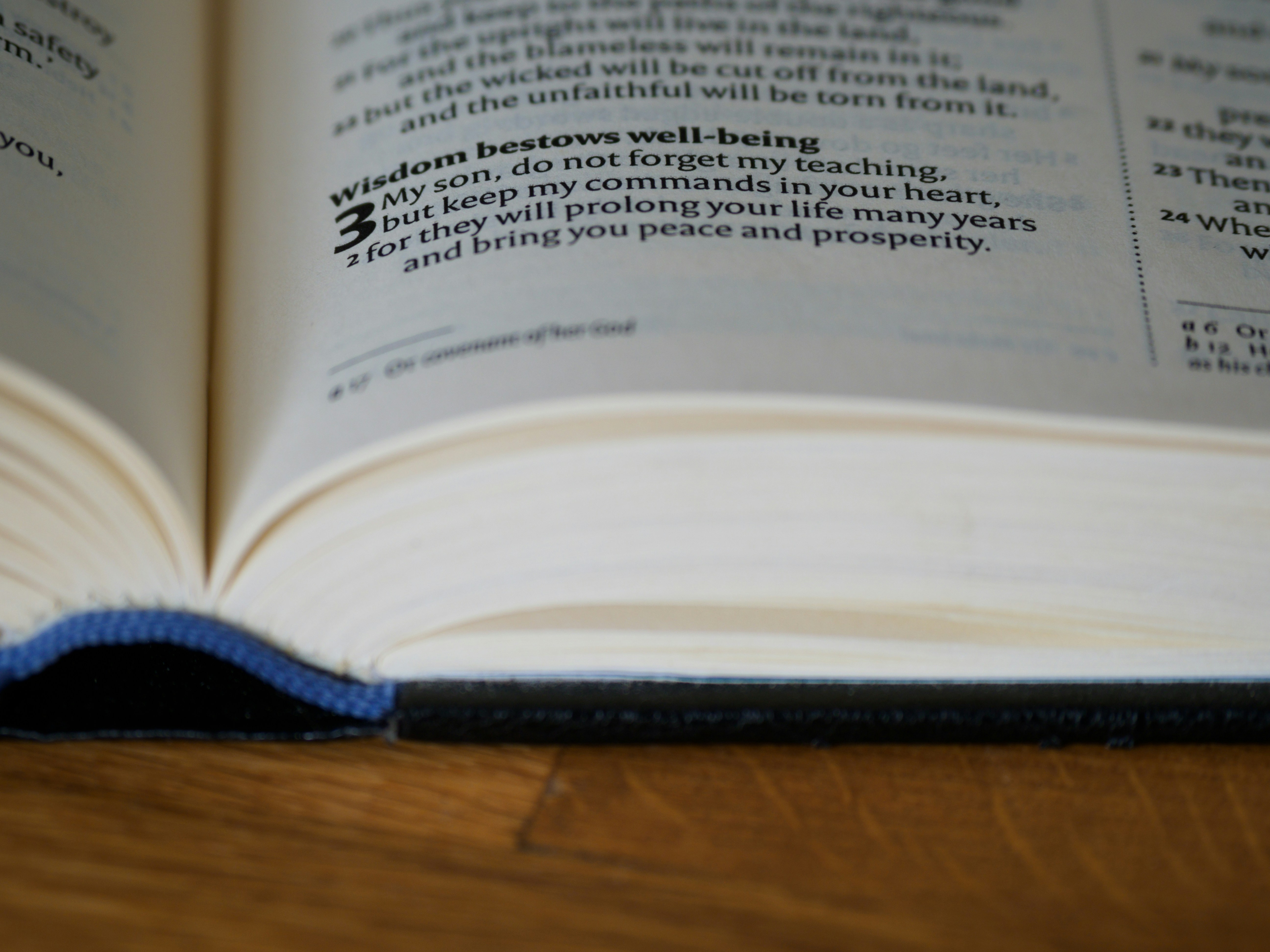 Photo by brett_jordan