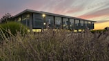 A modern building with large glass windows displaying the word 'IMAGINE' in bold letters. The foreground features lush green vegetation and wildflowers. The sky in the background is vivid with warm hues of pink and orange, suggesting a sunset or sunrise.