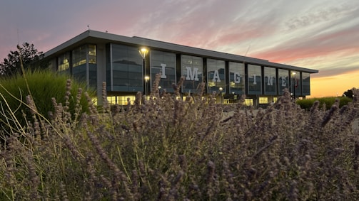 A modern building with large glass windows displaying the word 'IMAGINE' in bold letters. The foreground features lush green vegetation and wildflowers. The sky in the background is vivid with warm hues of pink and orange, suggesting a sunset or sunrise.