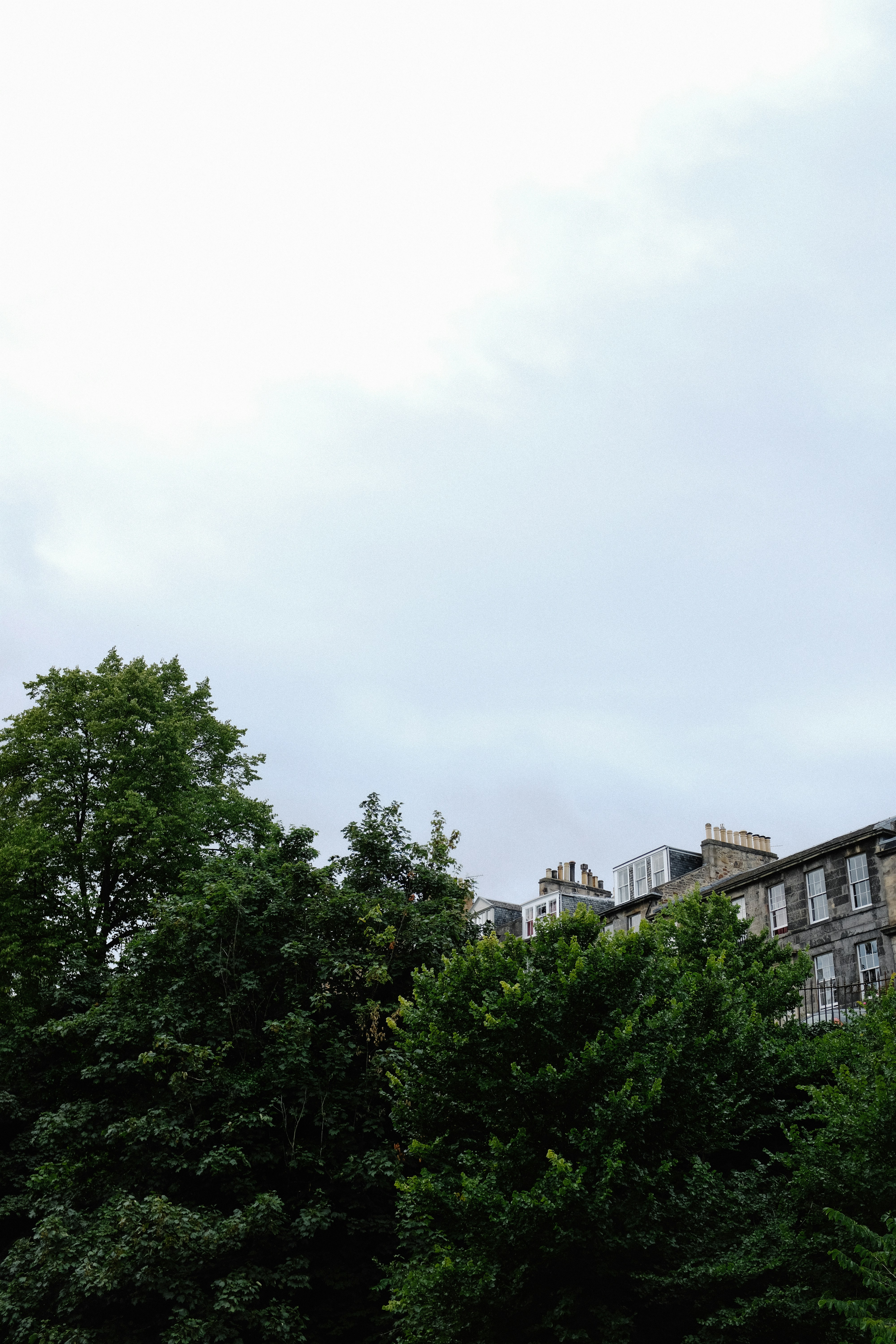 Photo by adrienolichon