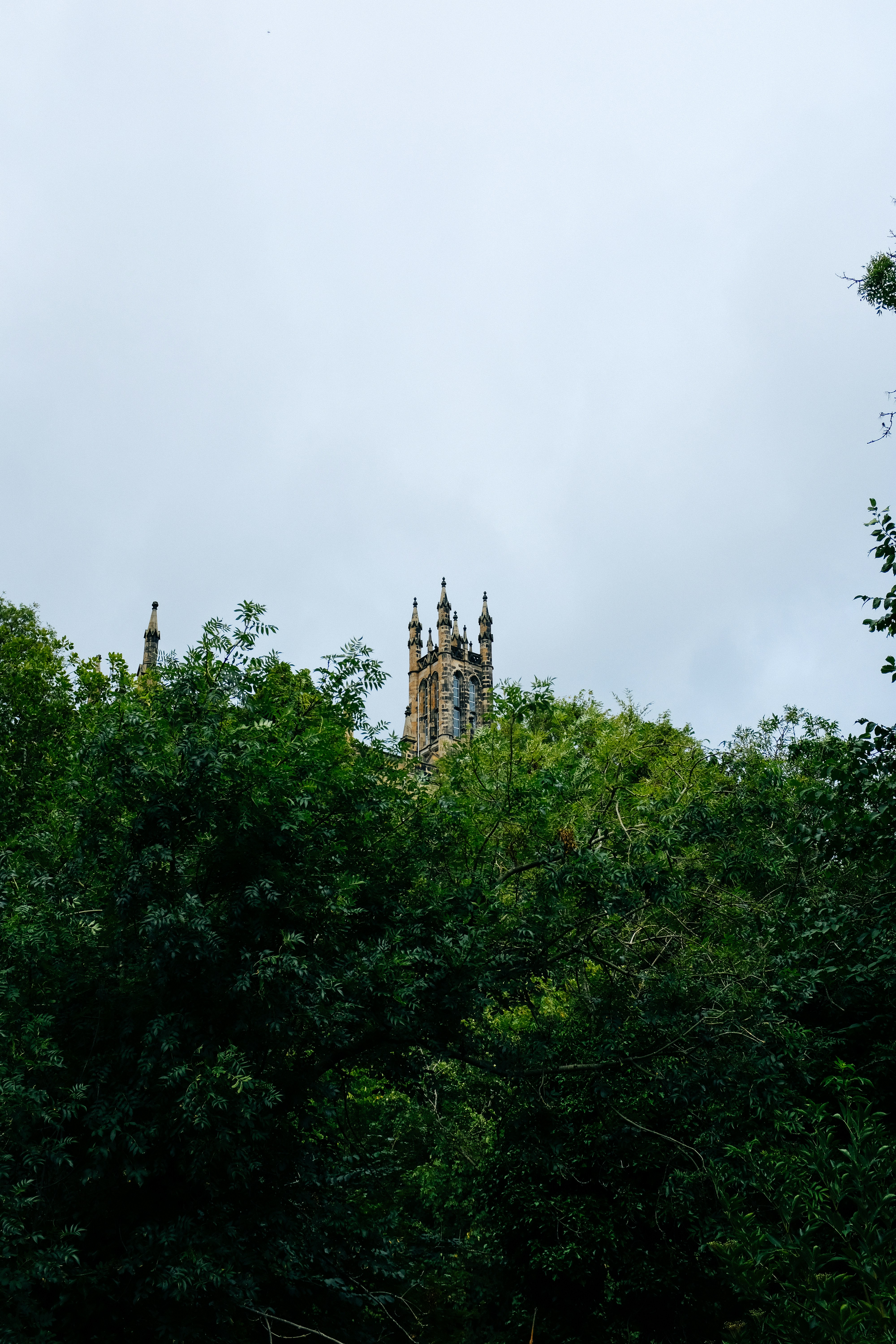 Photo by adrienolichon