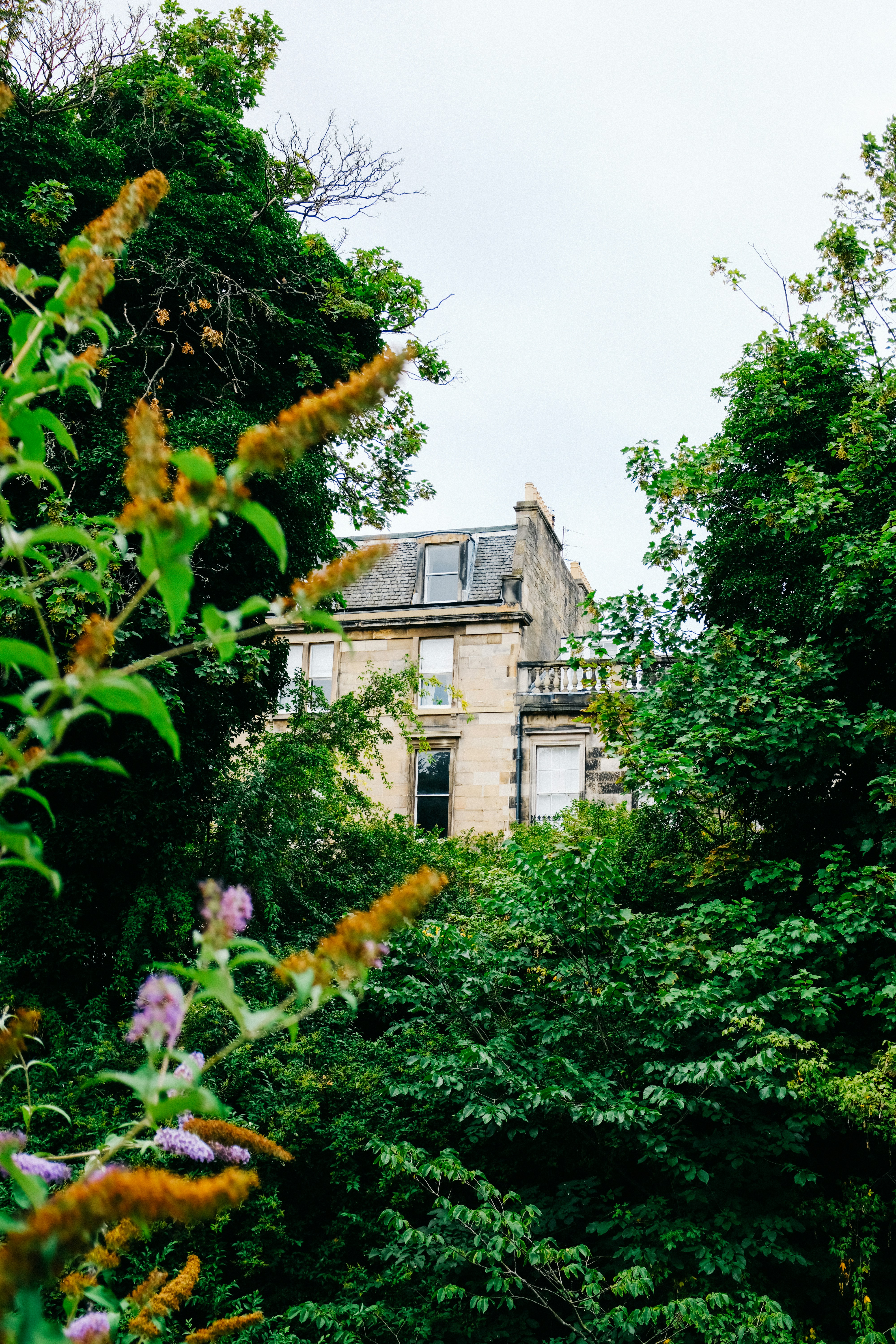 Photo by adrienolichon