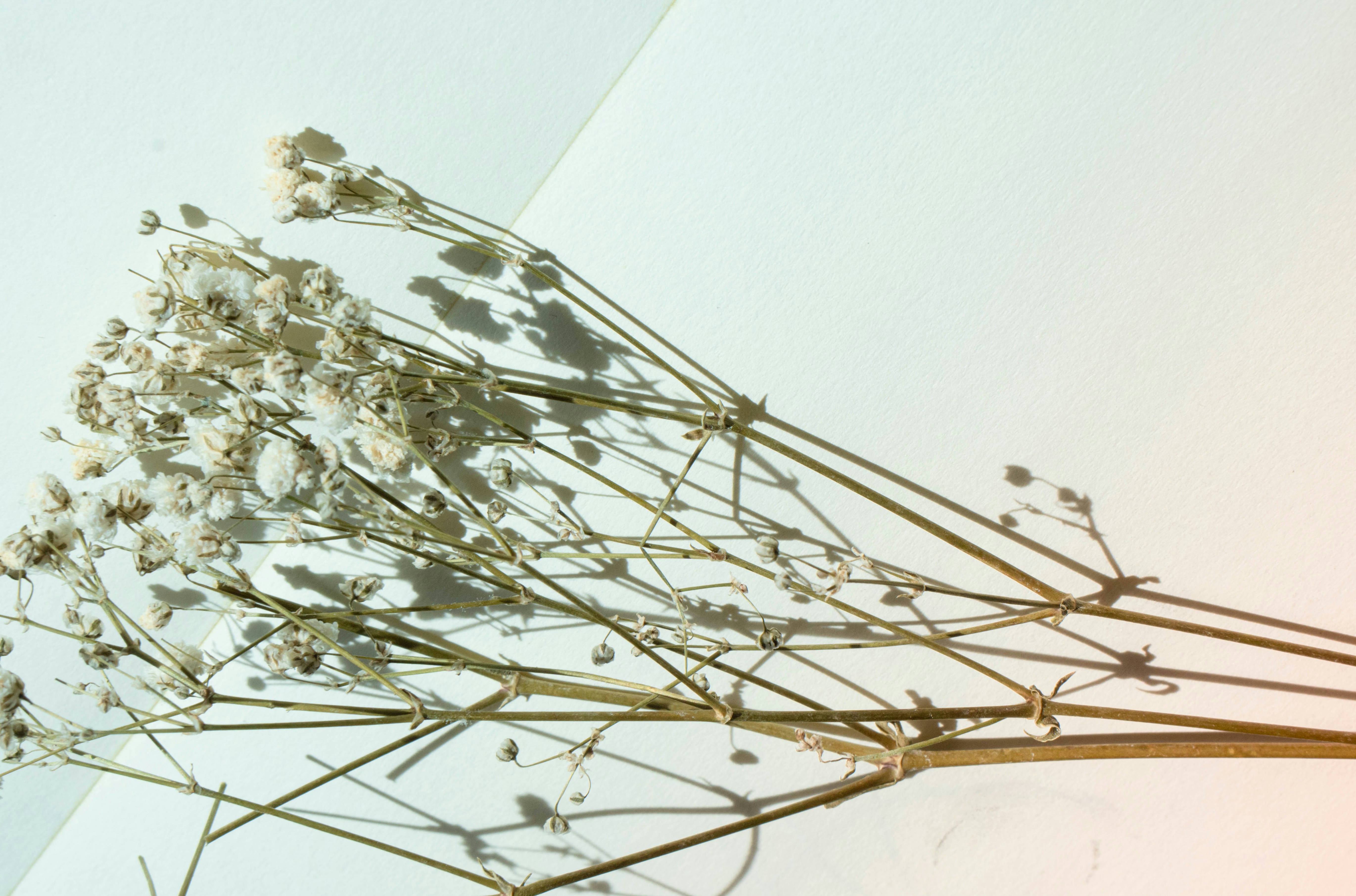 Photo by tex_forteetoo