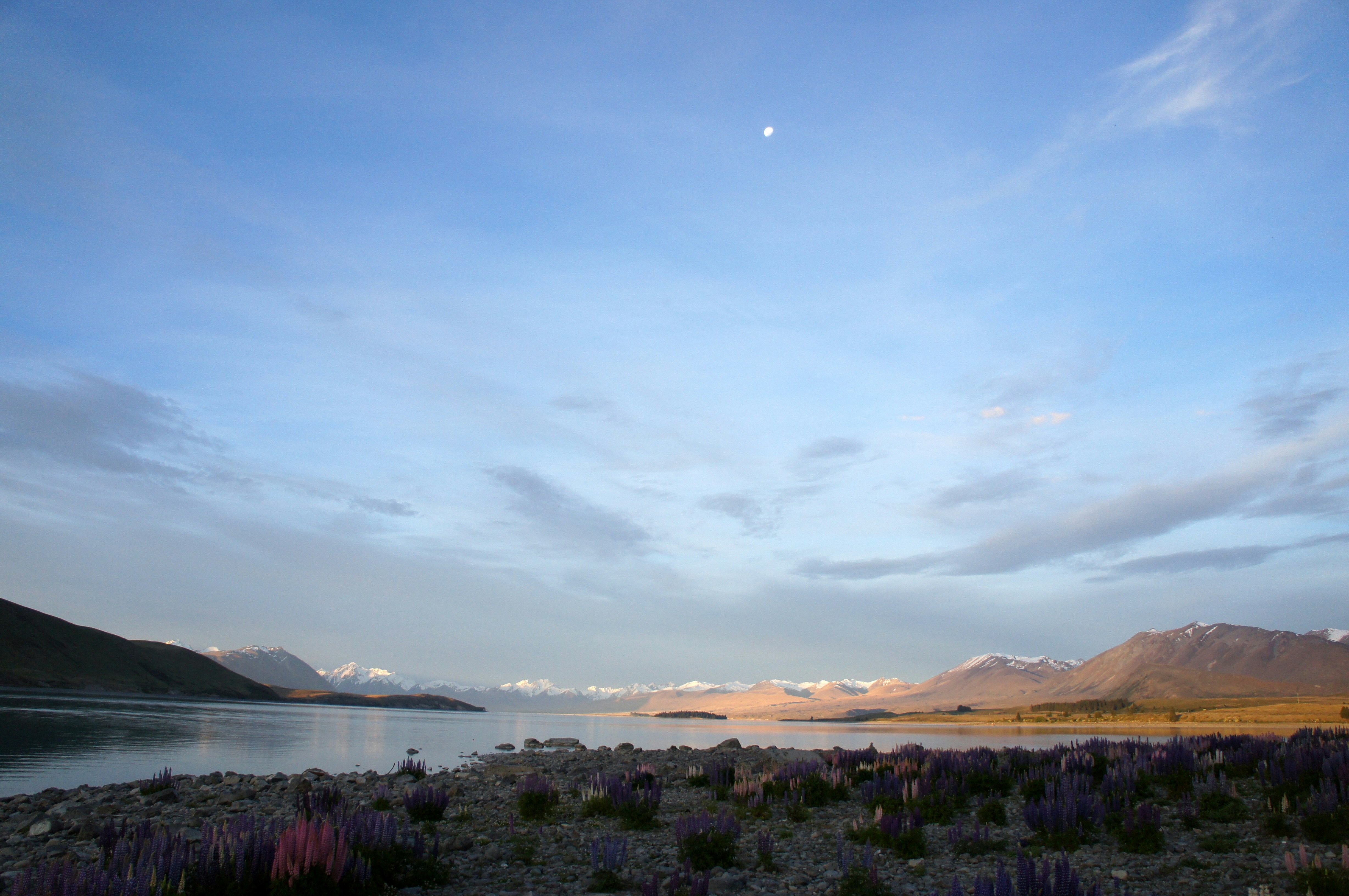 a body of water with plants and mountains in the background