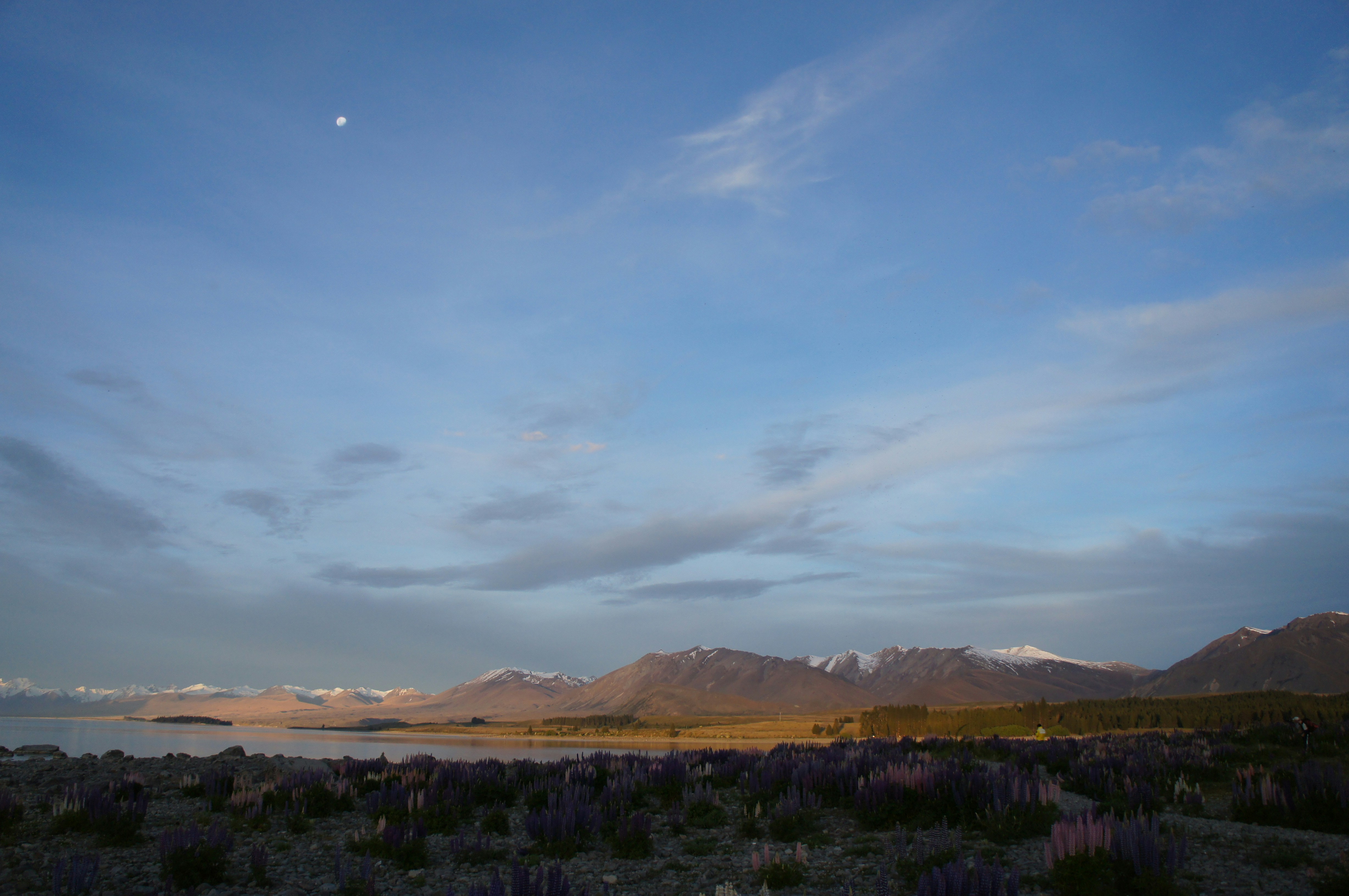 a landscape with mountains in the background