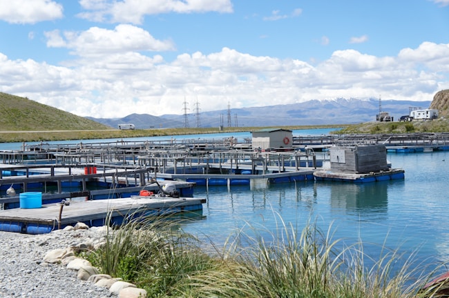 A series of rectangular fish farming platforms floating on a clear blue body of water, surrounded by grass and rocky shores. In the background, rolling hills and snow-capped mountains are visible under a partly cloudy sky, with power lines and parked vehicles nearby.