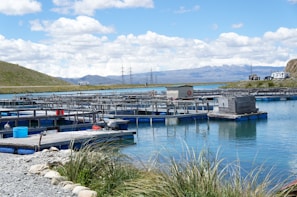 A series of rectangular fish farming platforms floating on a clear blue body of water, surrounded by grass and rocky shores. In the background, rolling hills and snow-capped mountains are visible under a partly cloudy sky, with power lines and parked vehicles nearby.