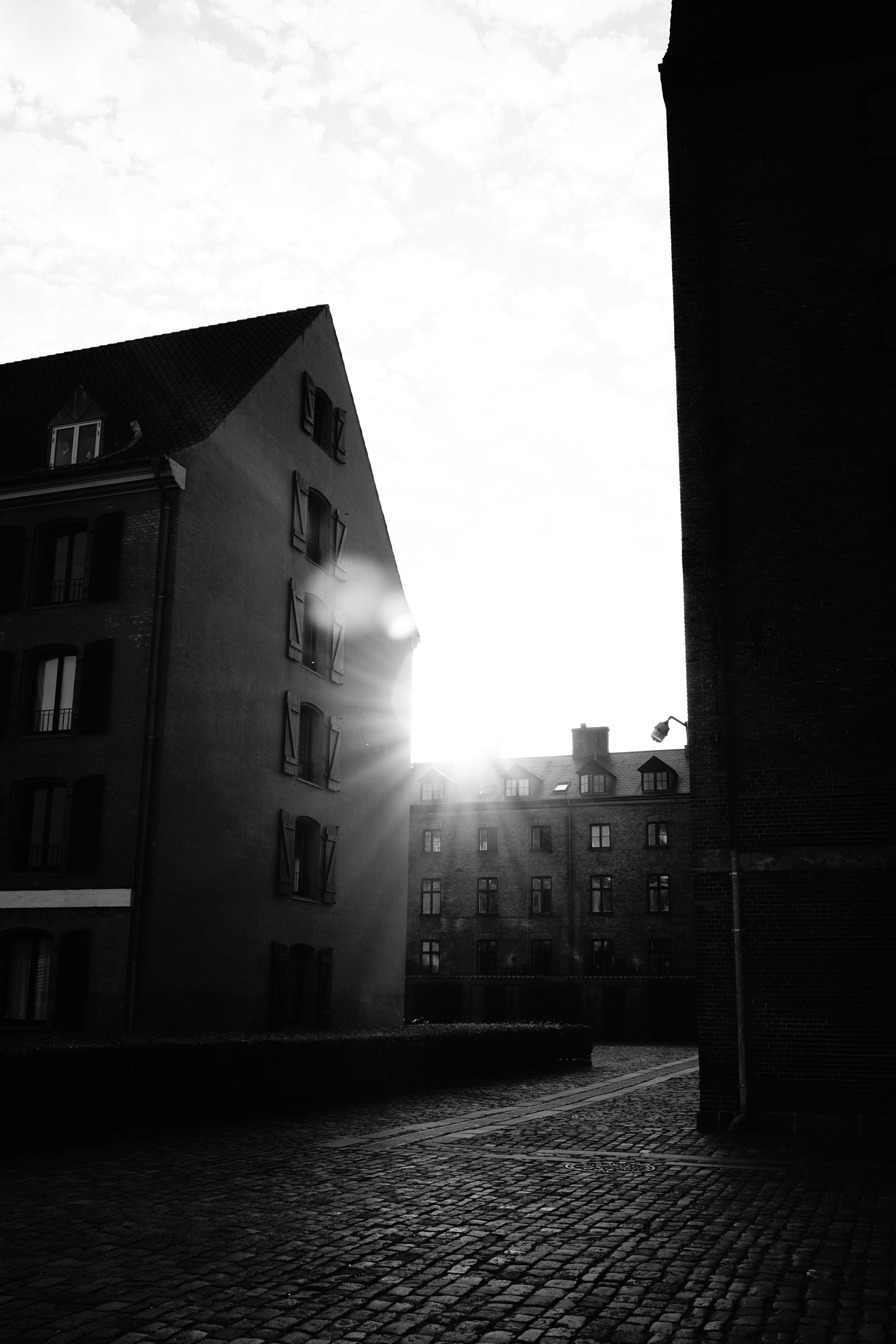 Photo by midri