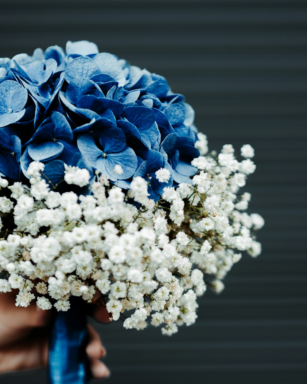 a bouquet of white and blue flowers