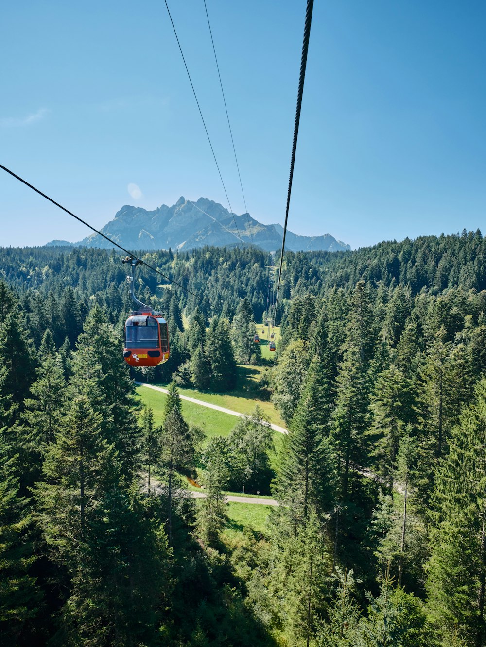 a cable car above a forest