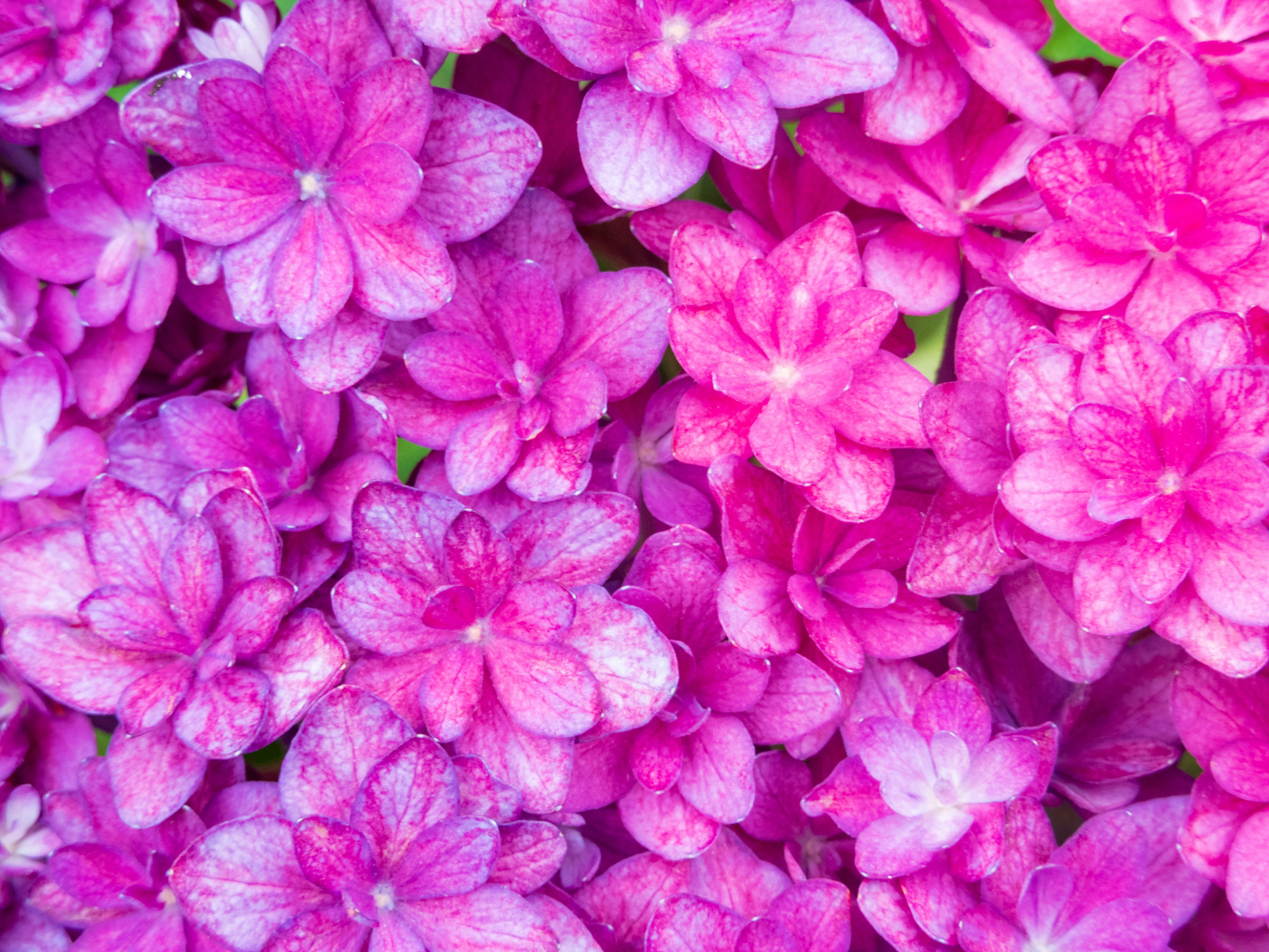 Photo by heppoko_yama