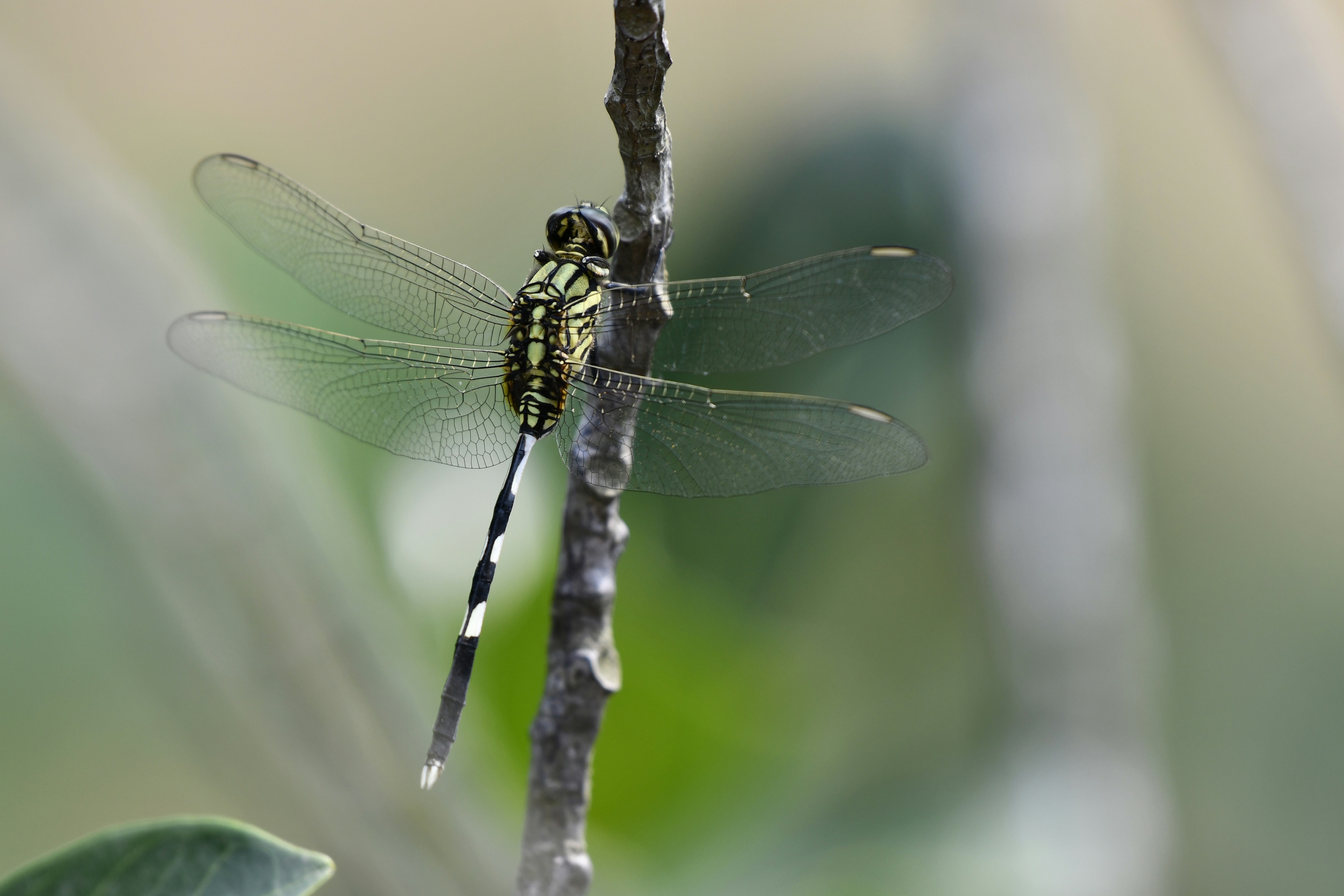 Photo by wrishi2004m