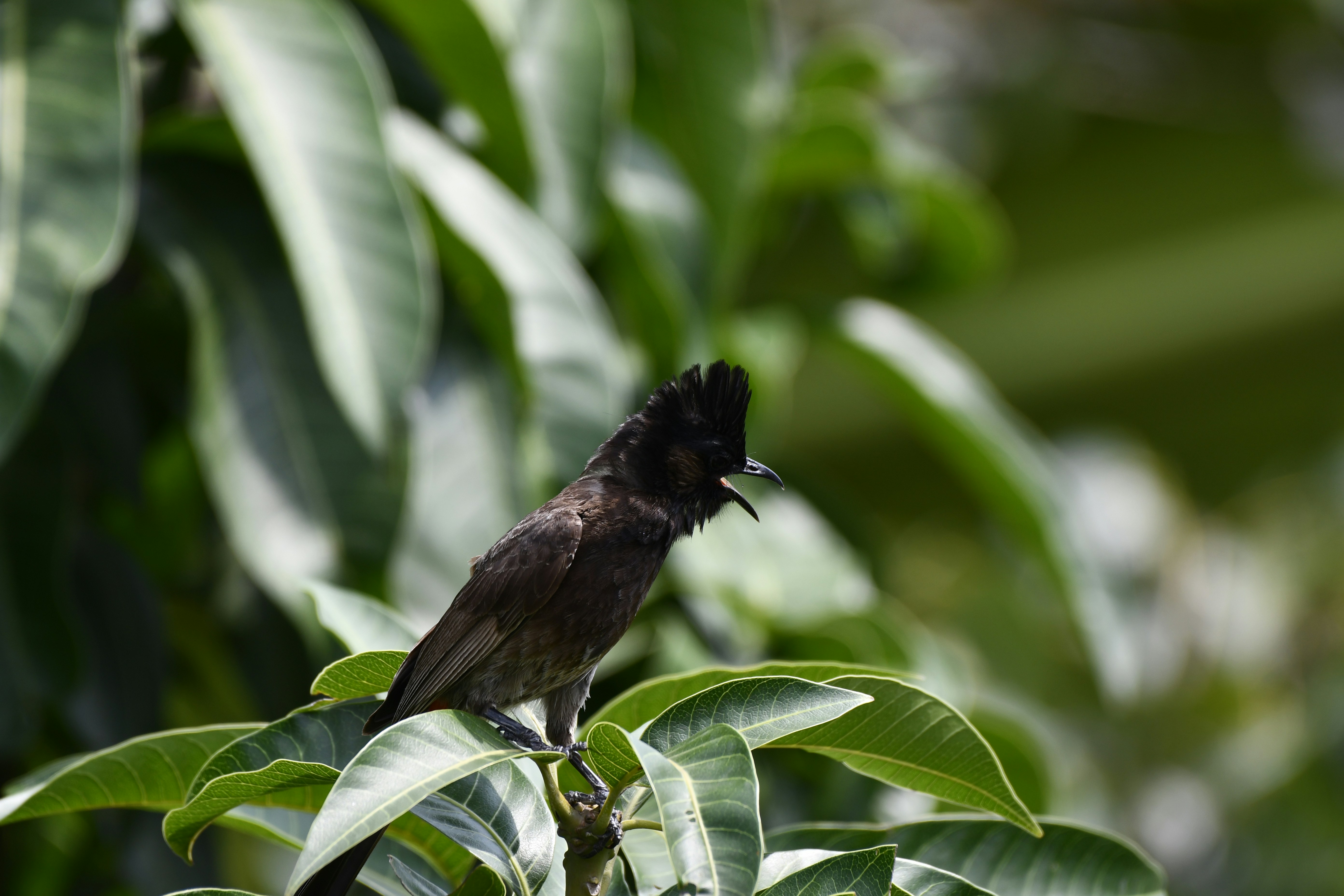 Photo by wrishi2004m