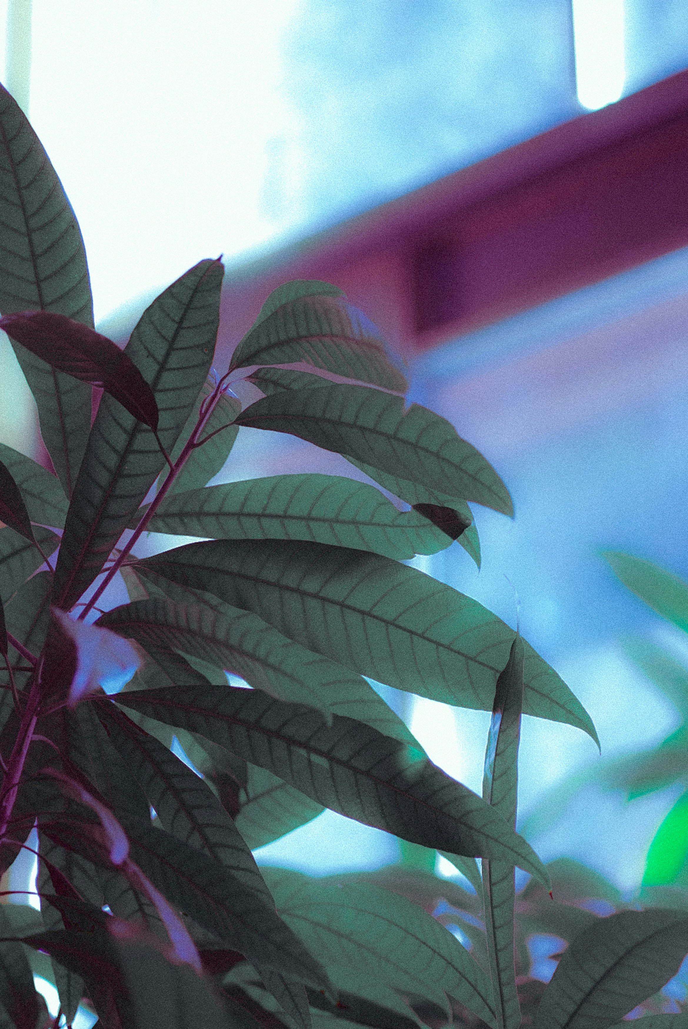 Photo by wildflowermind