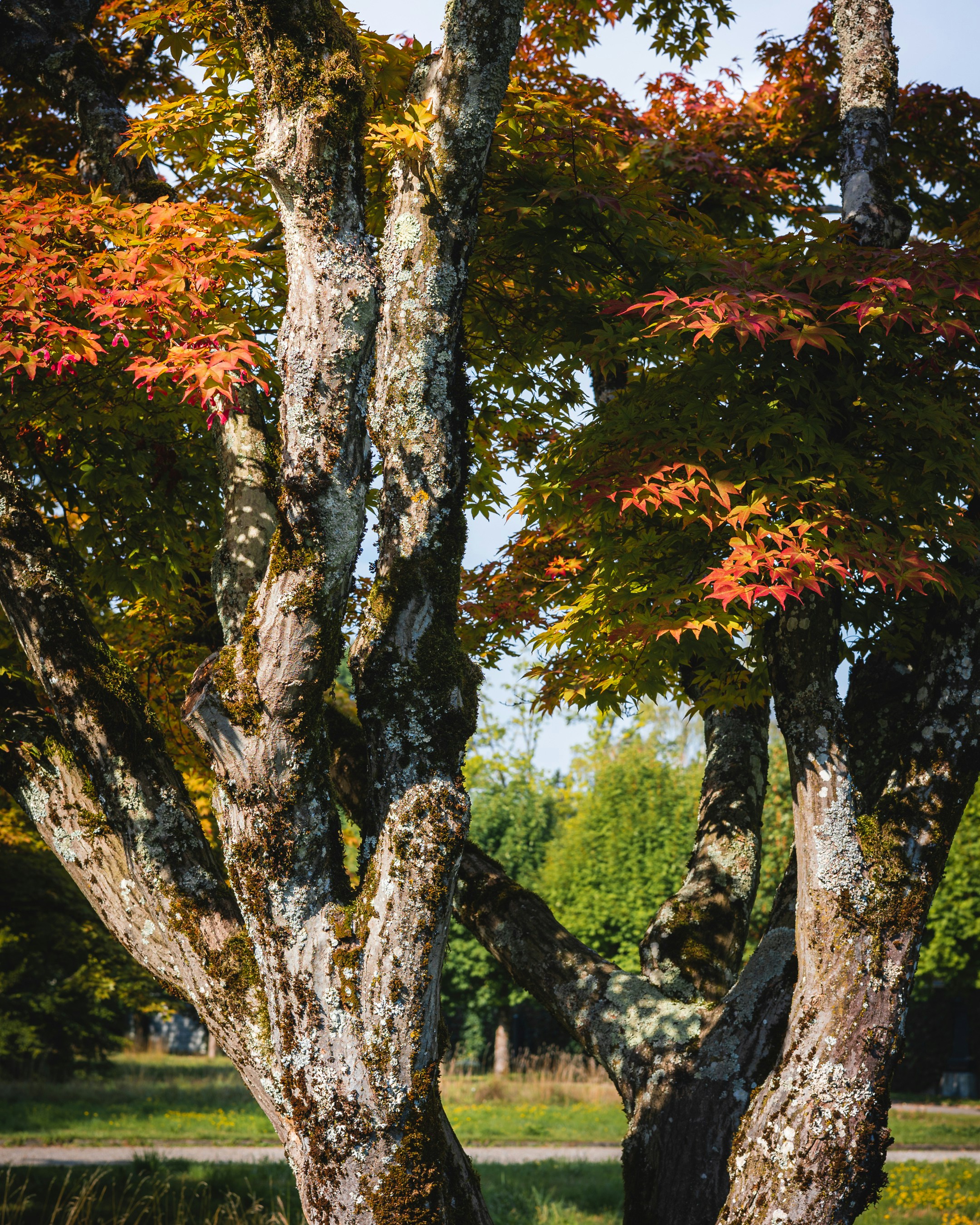 Photo by tomastrajan