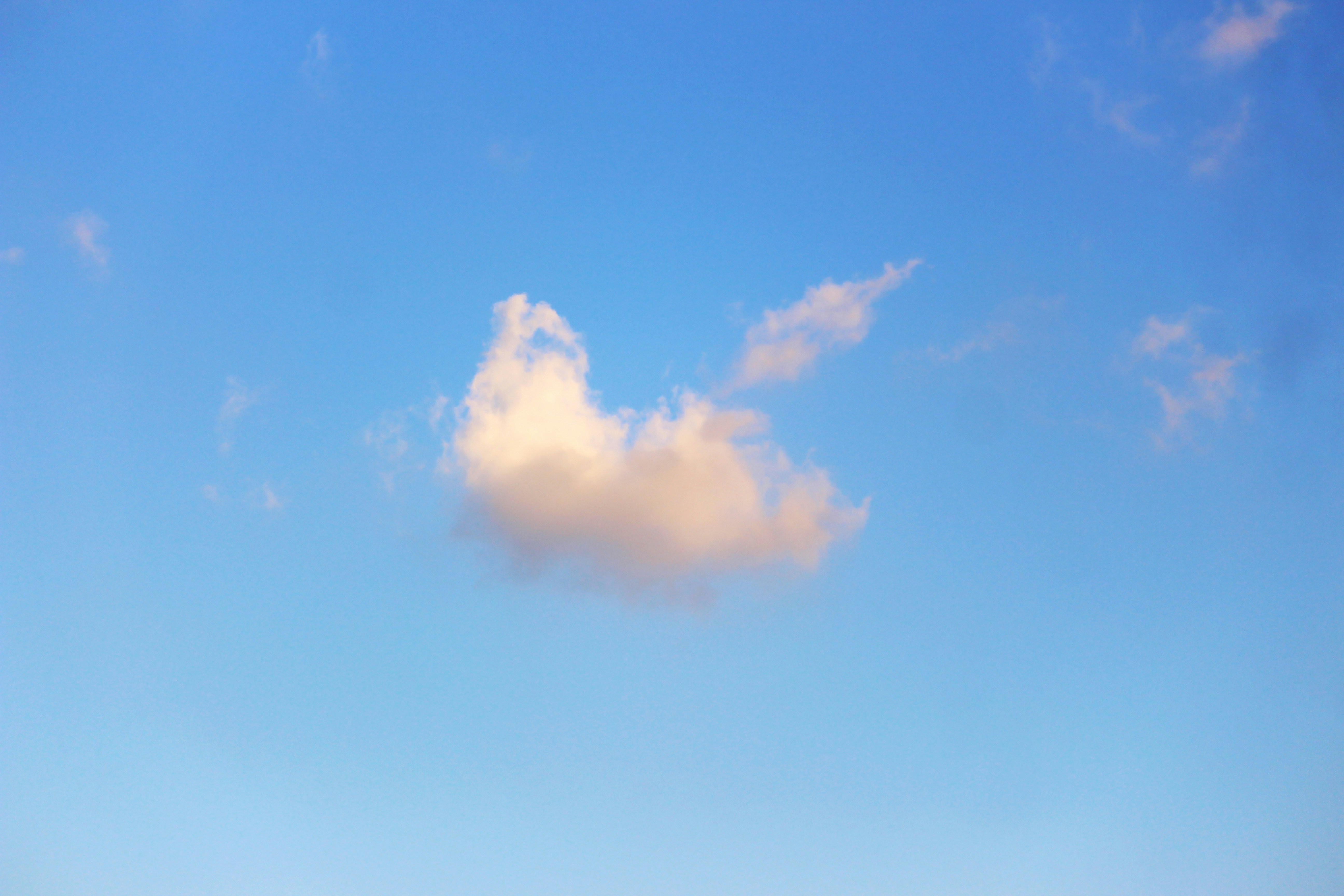 Understanding termination concepts