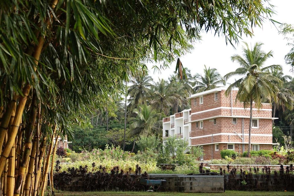 a building with palm trees and bushes