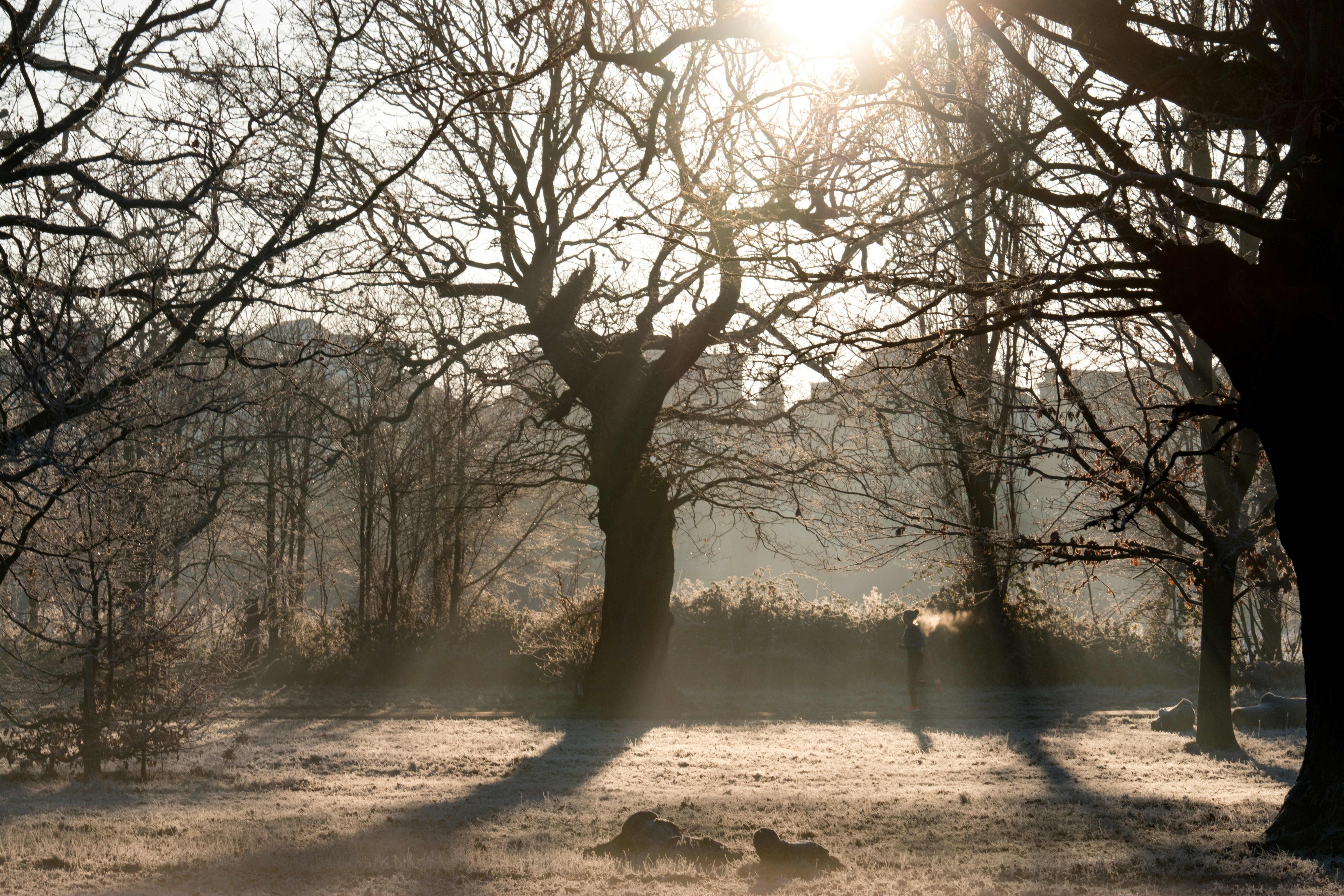 Photo by mattthebrown