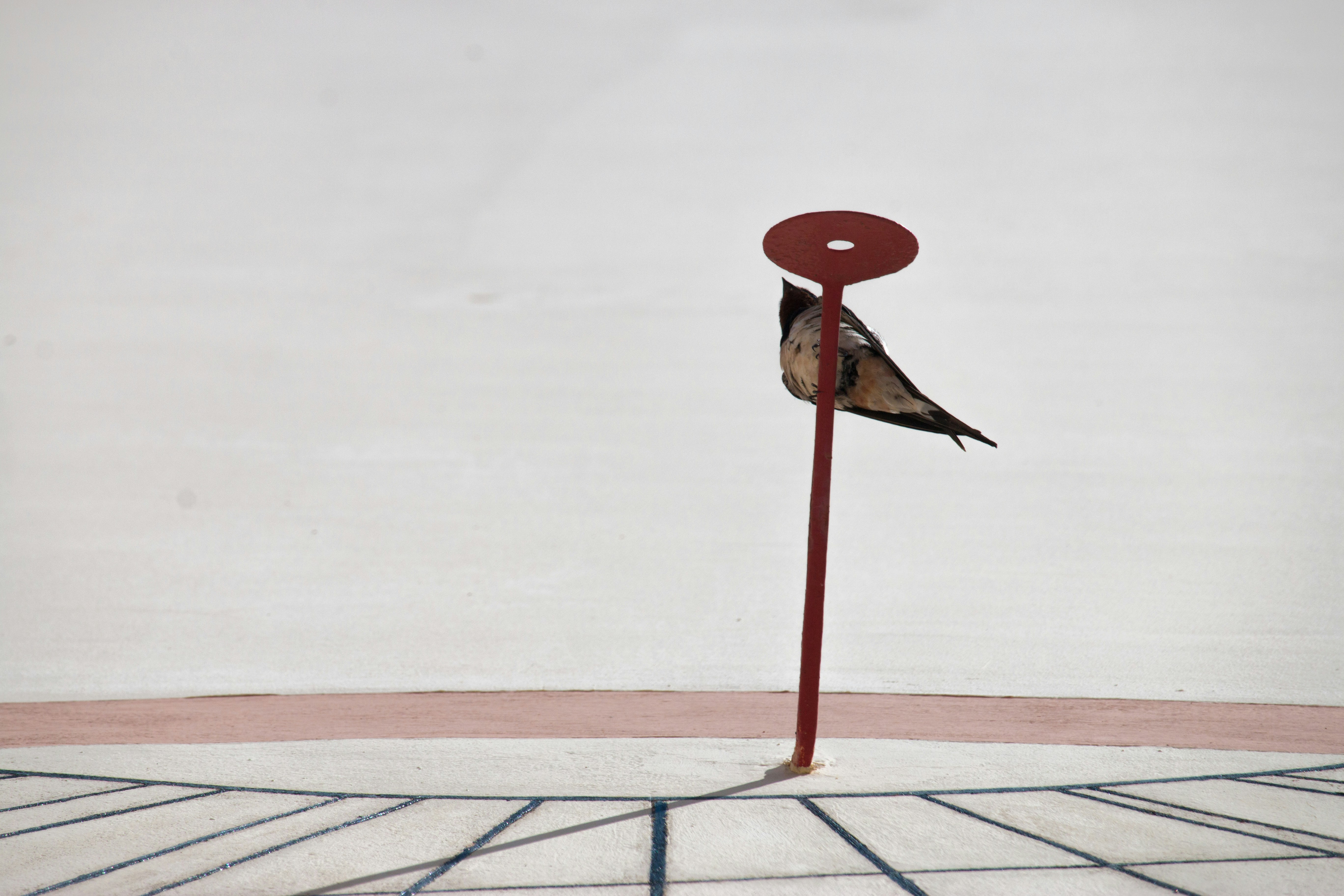 Malinin z trzecim tytułem mistrza świata. Odkupienie po olimpijskiej klęsce