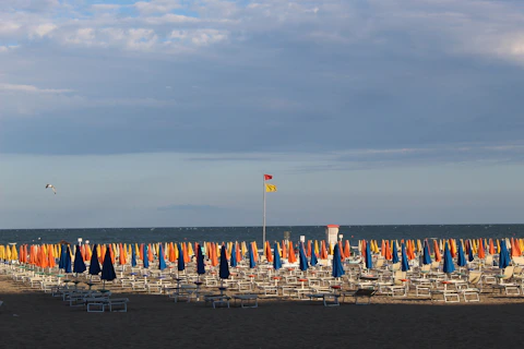 a beach with many umbrellas
