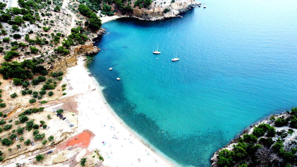 a beach with boats and a body of water