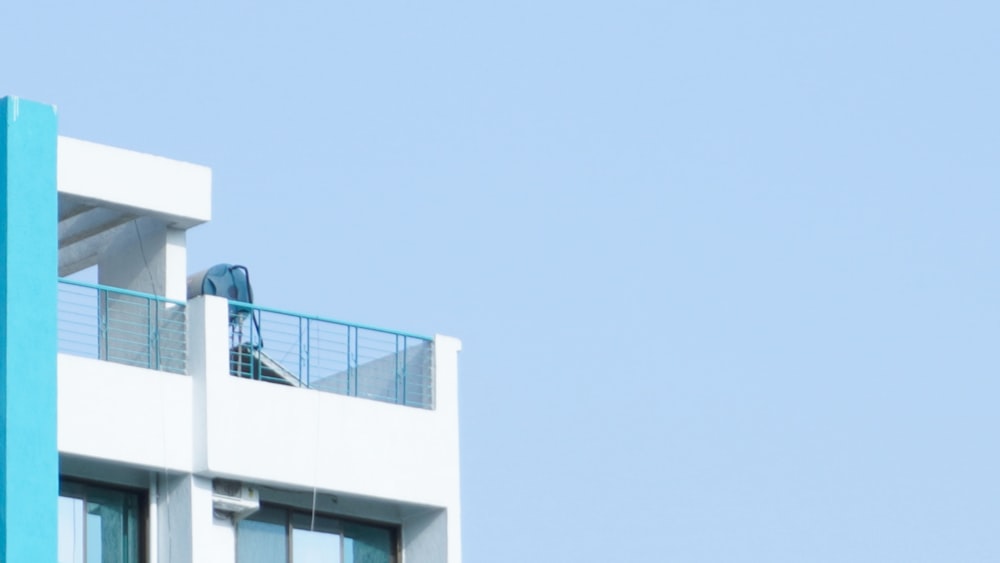 a bird on a building