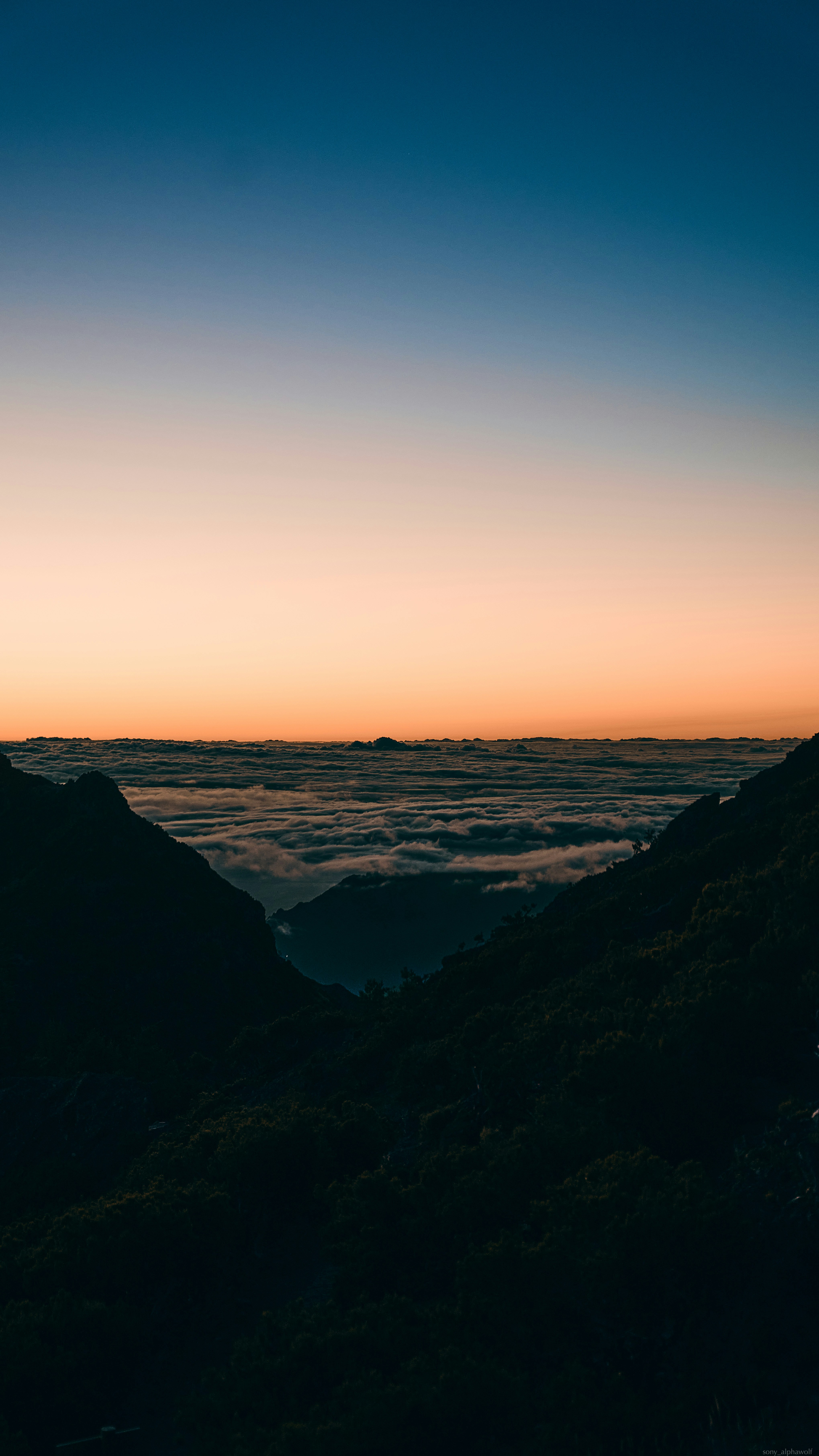 Photo by travelalphawolf