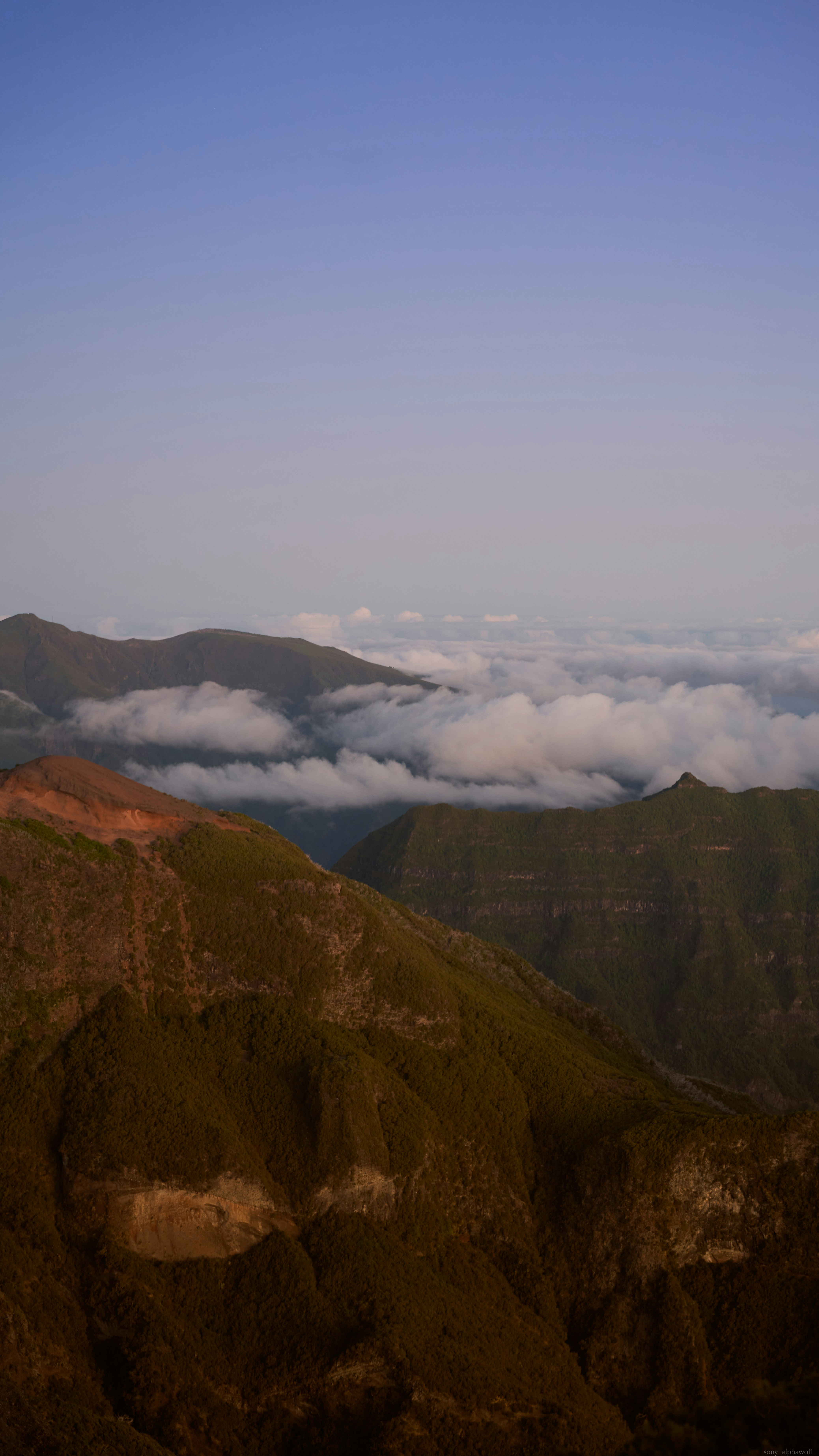 Photo by travelalphawolf