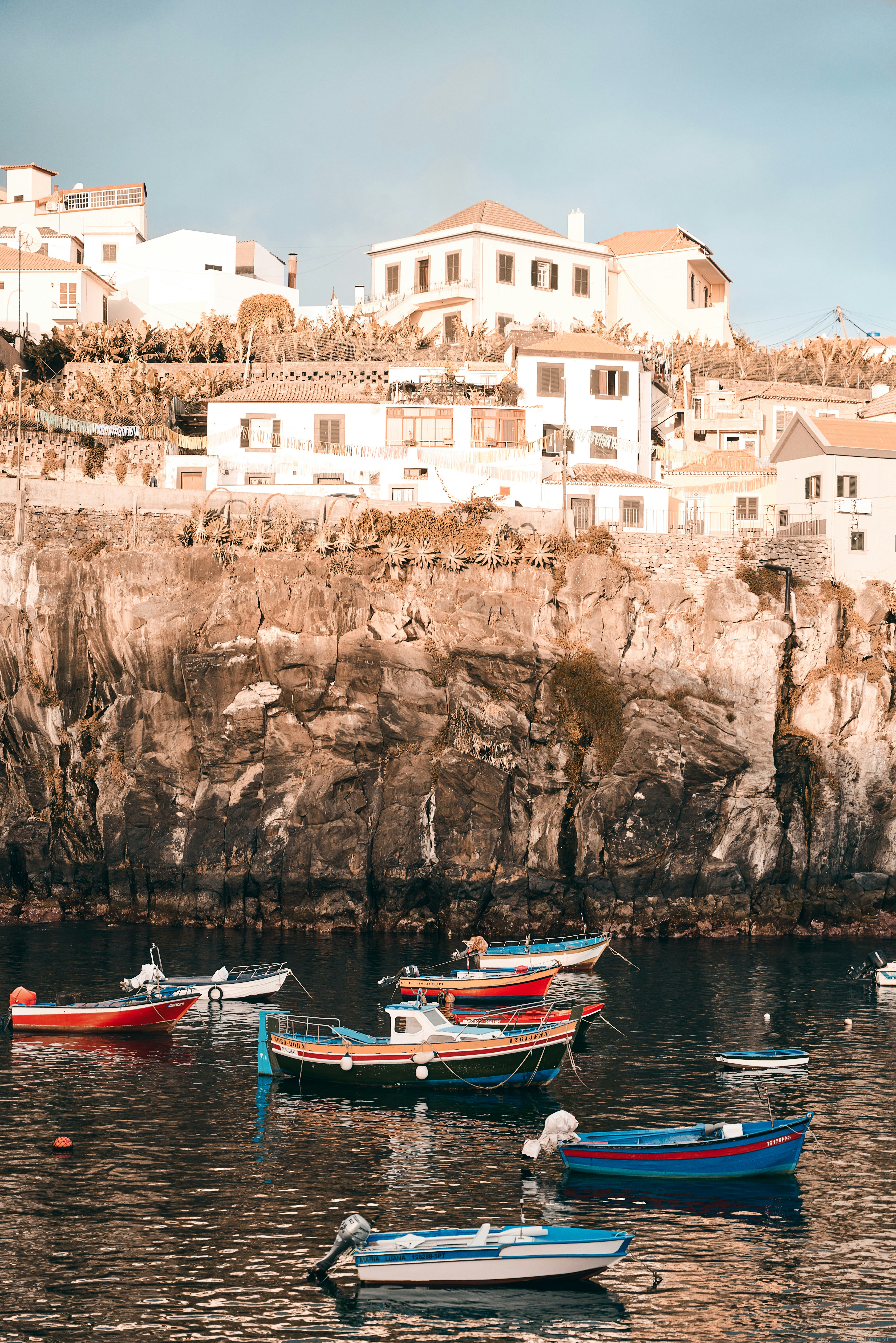 Photo by travelalphawolf