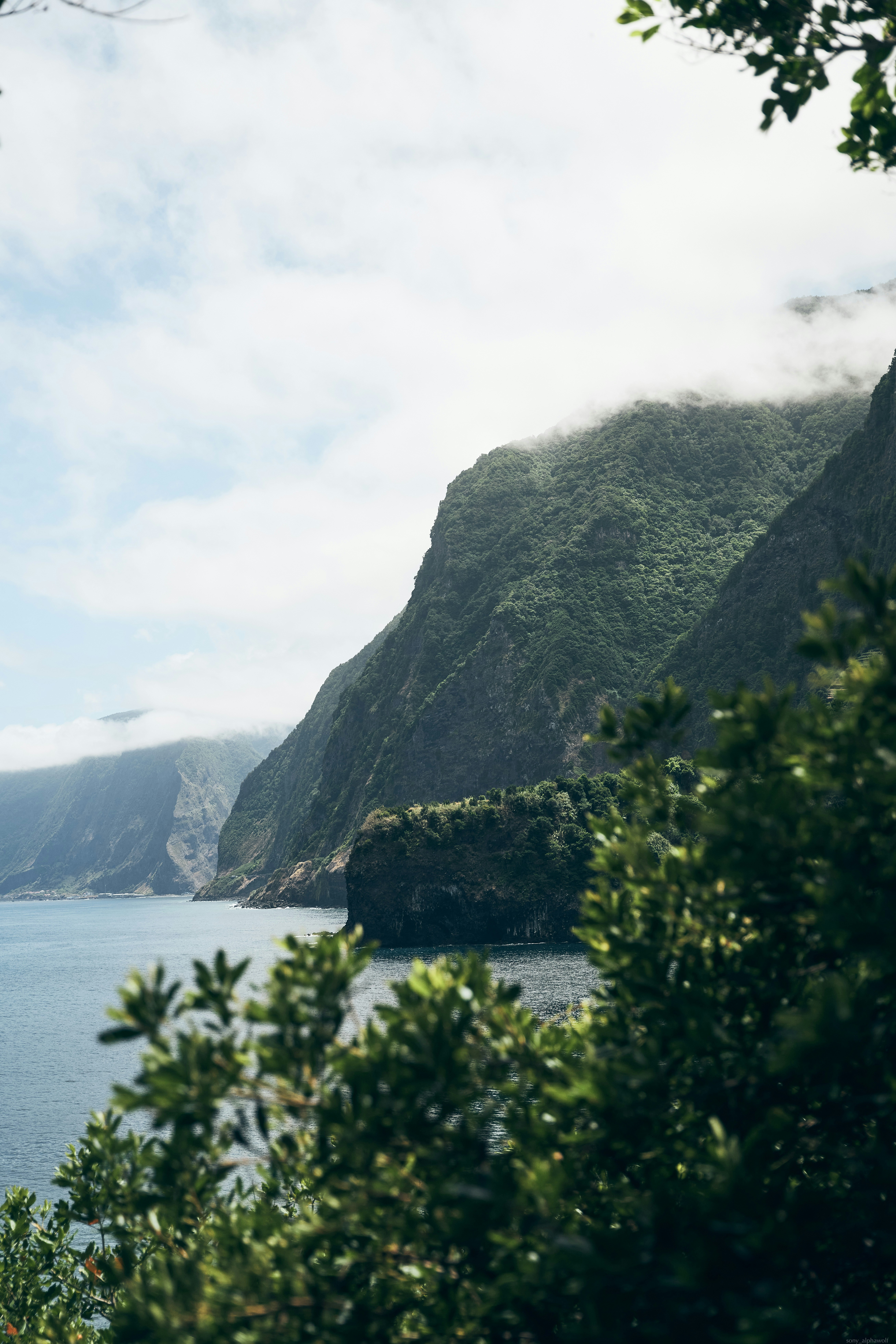 Photo by travelalphawolf