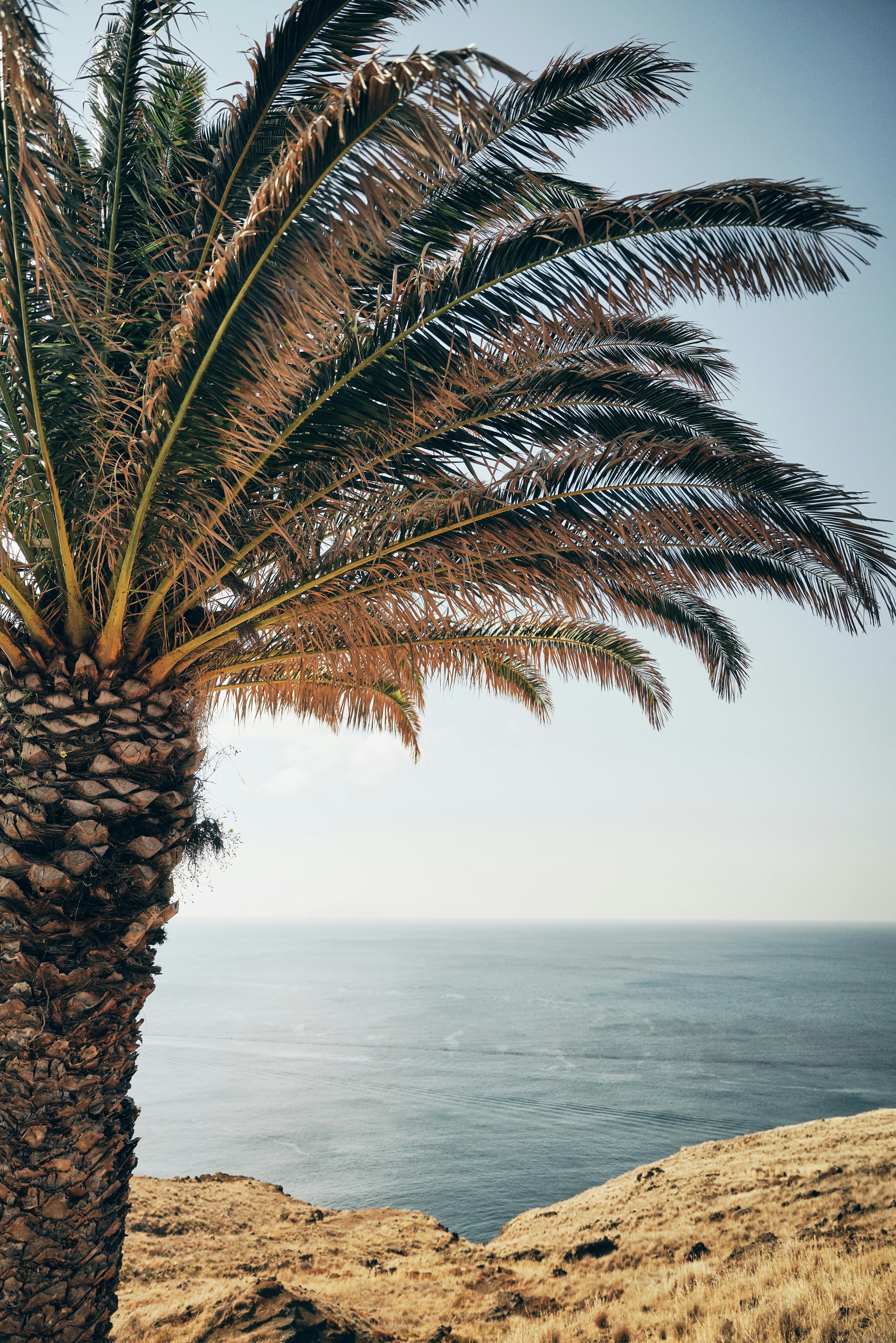 Photo by travelalphawolf