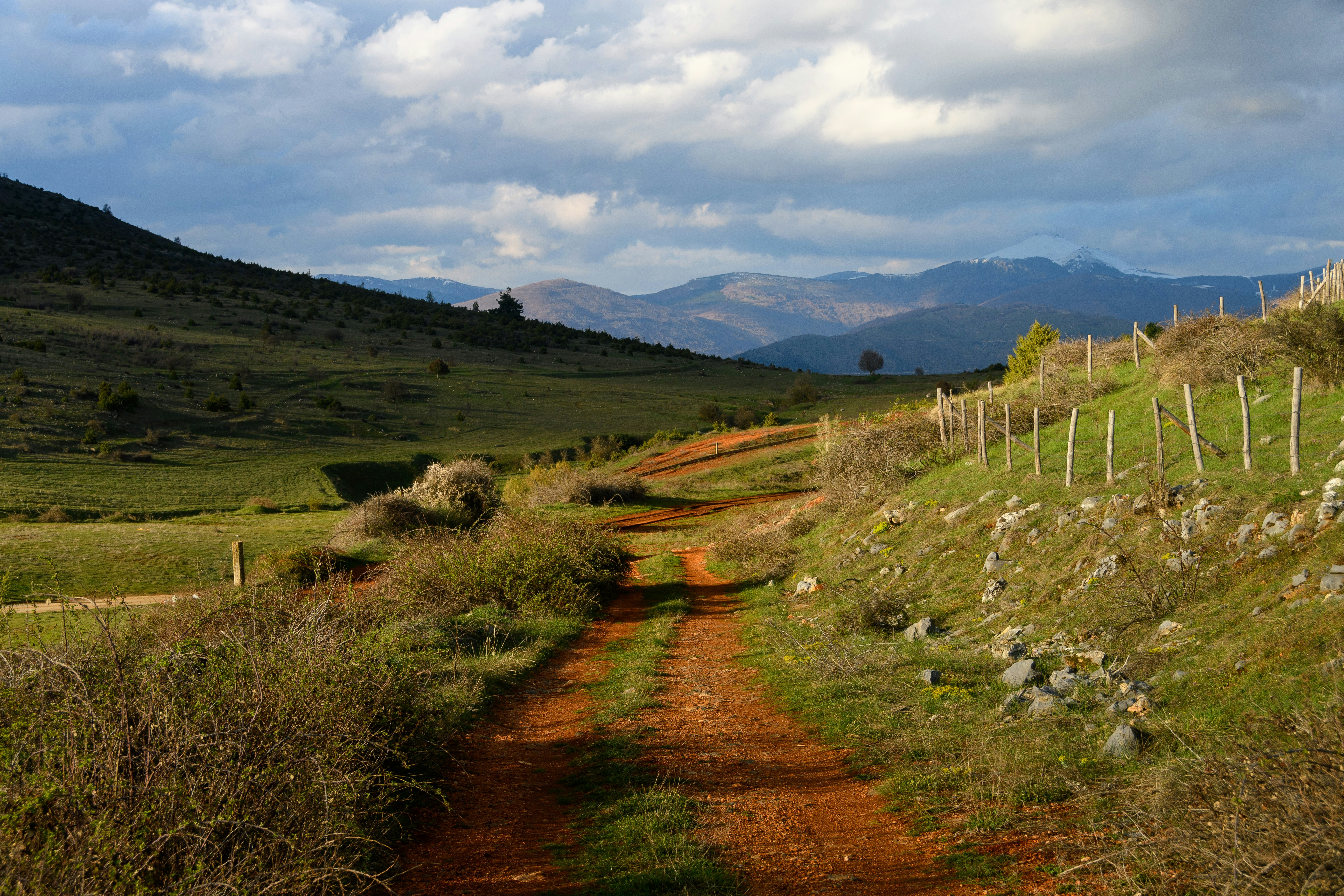 a dirt road in a field
