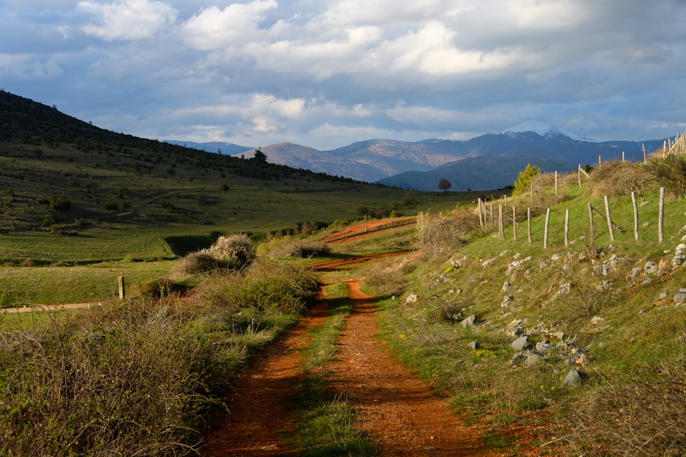 a dirt road in a field