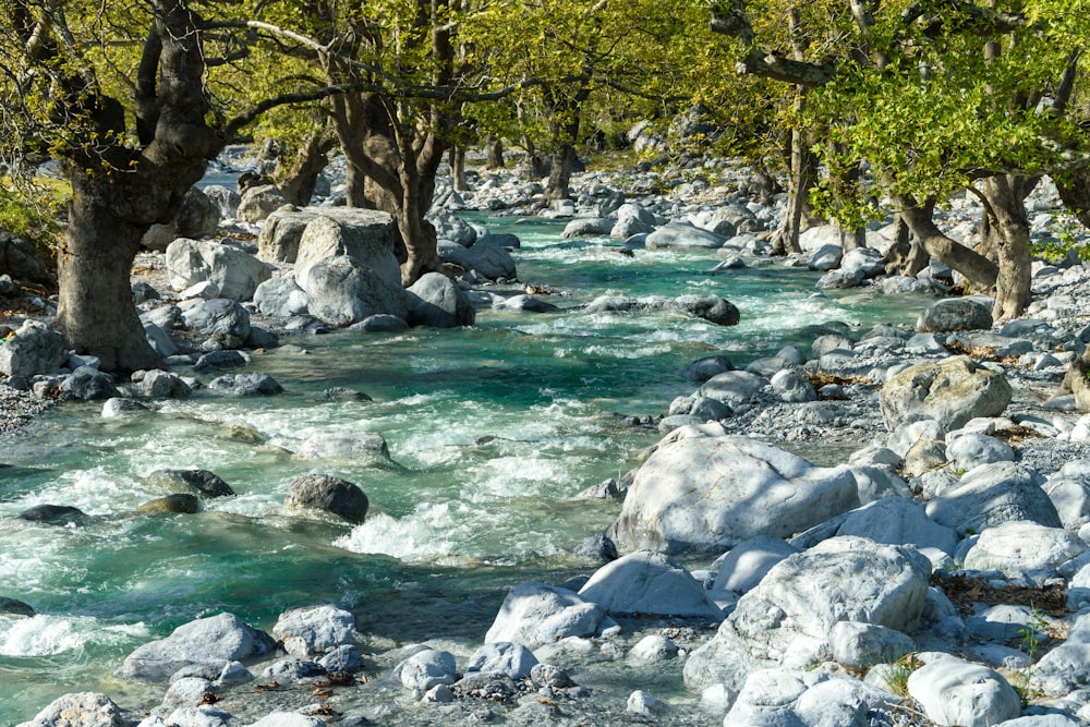 a river with rocks and trees