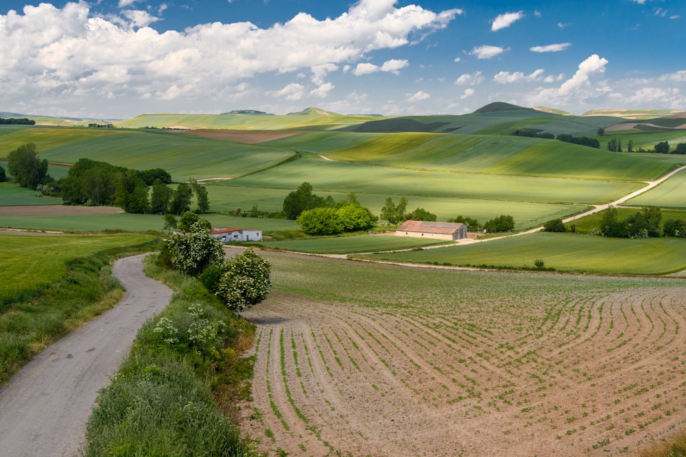 a landscape with a dirt road and trees