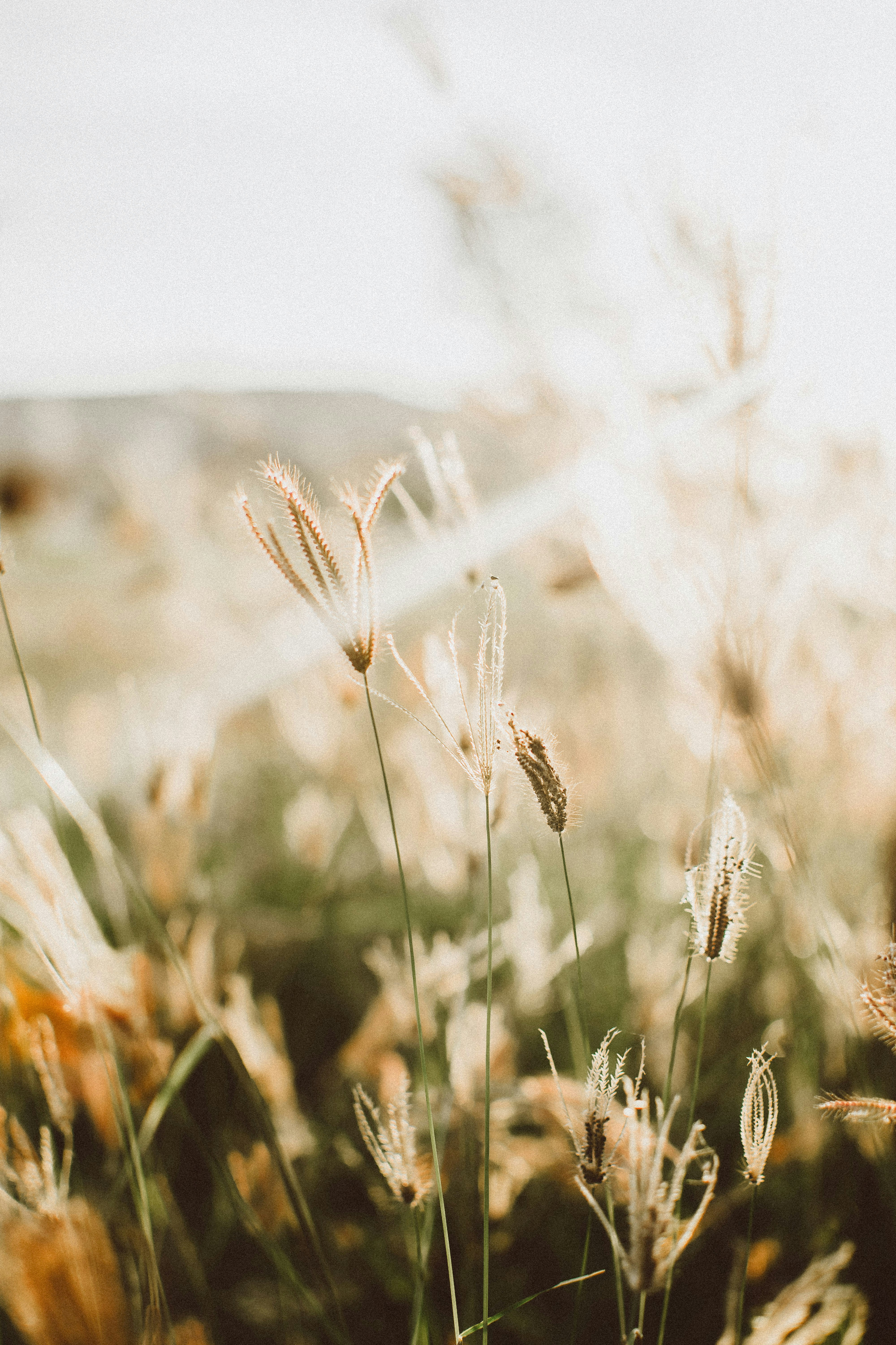 Photo by bnsouzafotografia