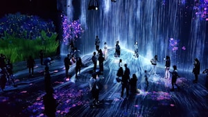 Immersive Video Book Experience