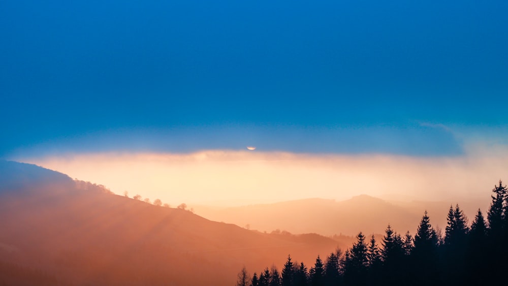 a landscape with trees and mountains