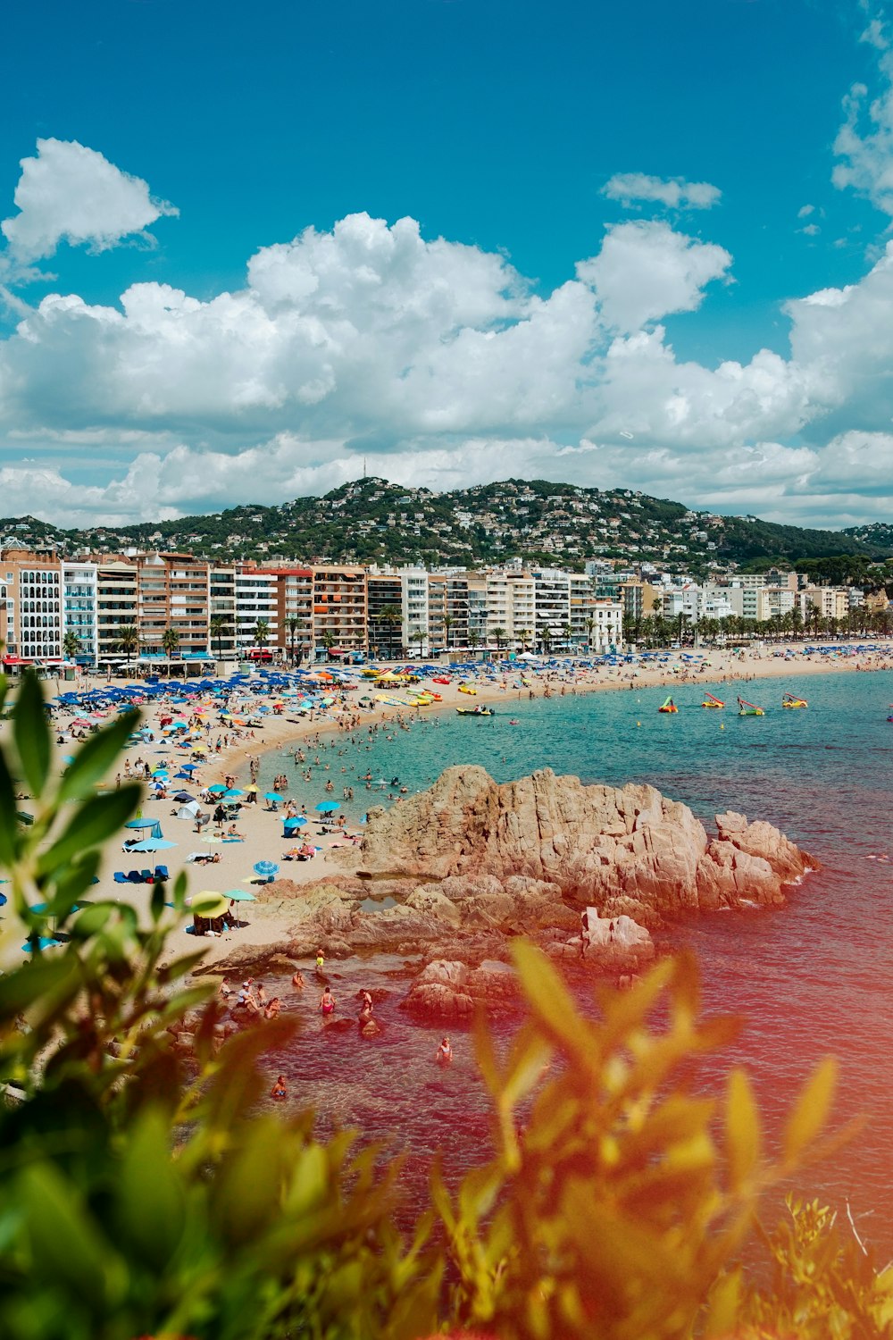 a beach with buildings and trees