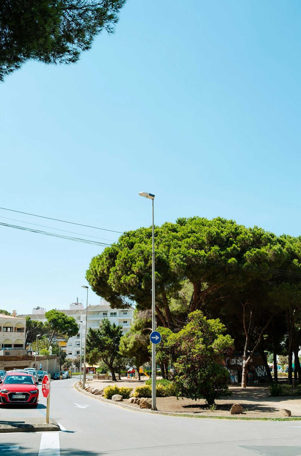 una strada con una macchina su di esso e alberi sul lato