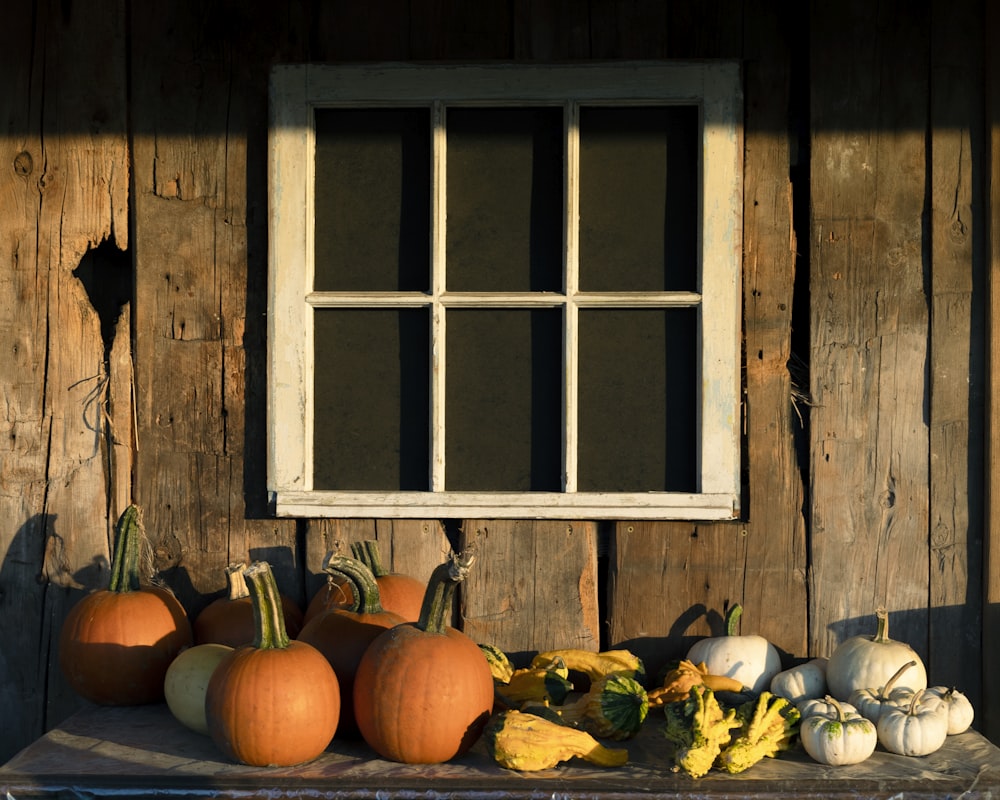 a group of pumpkins in front of a window